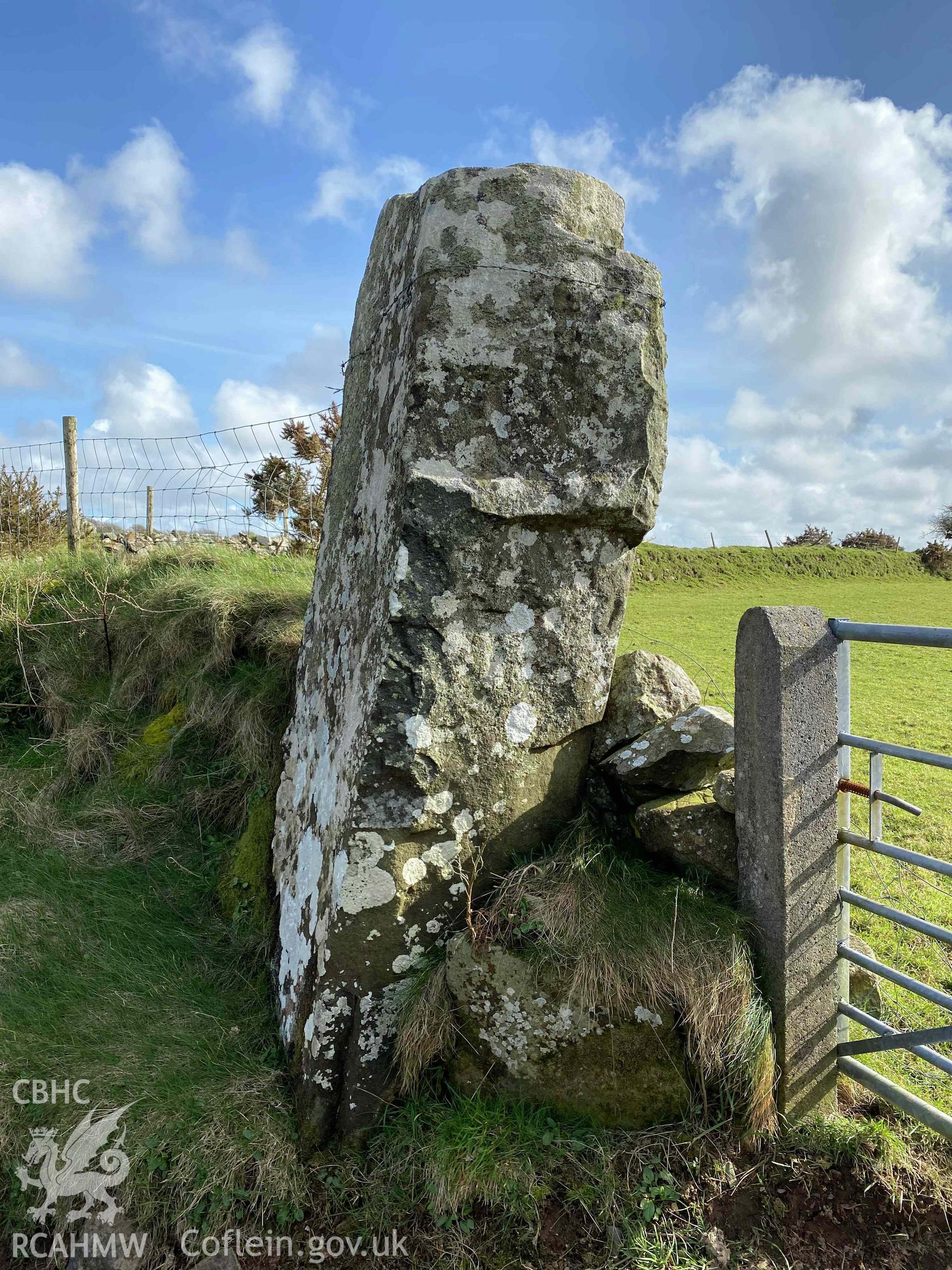 Digital photograph showing Parc y Meirw standing stone, produced by Paul Davis in 2020