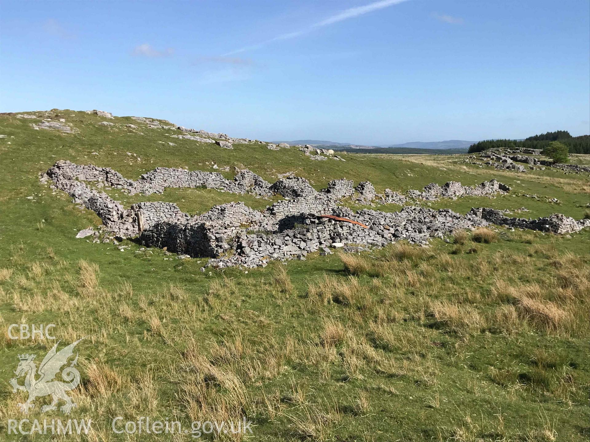 Digital photograph showing general view of remains of the Warrener's house, Pant Mawr Farm, Ystradfellte. Produced by Paul Davis in 2020