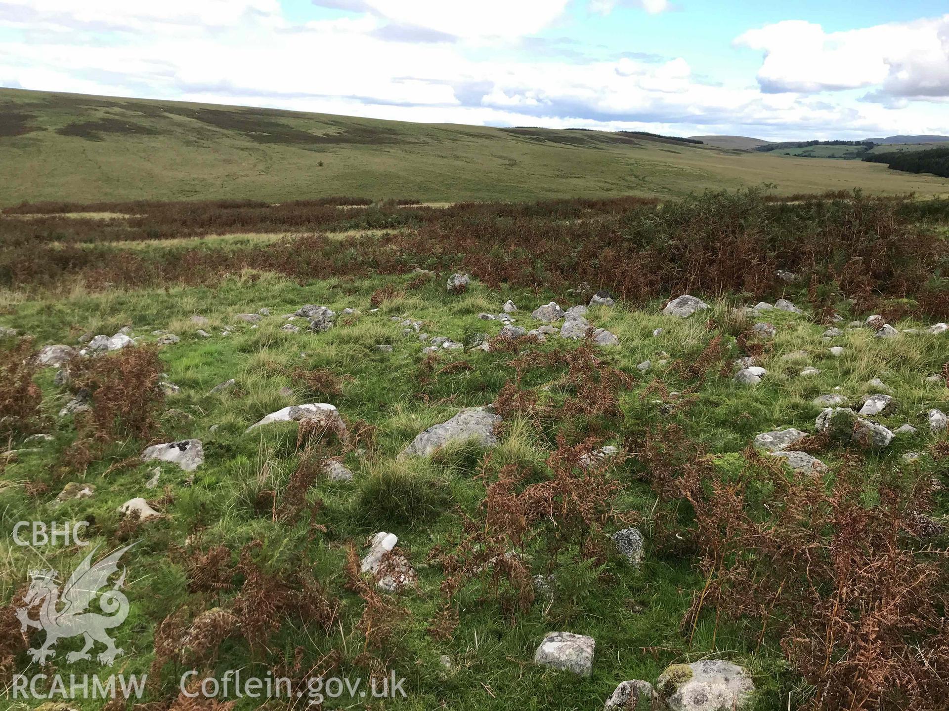 Digital photograph of Pant Sychbant cairn. Produced by Paul Davis in 2020