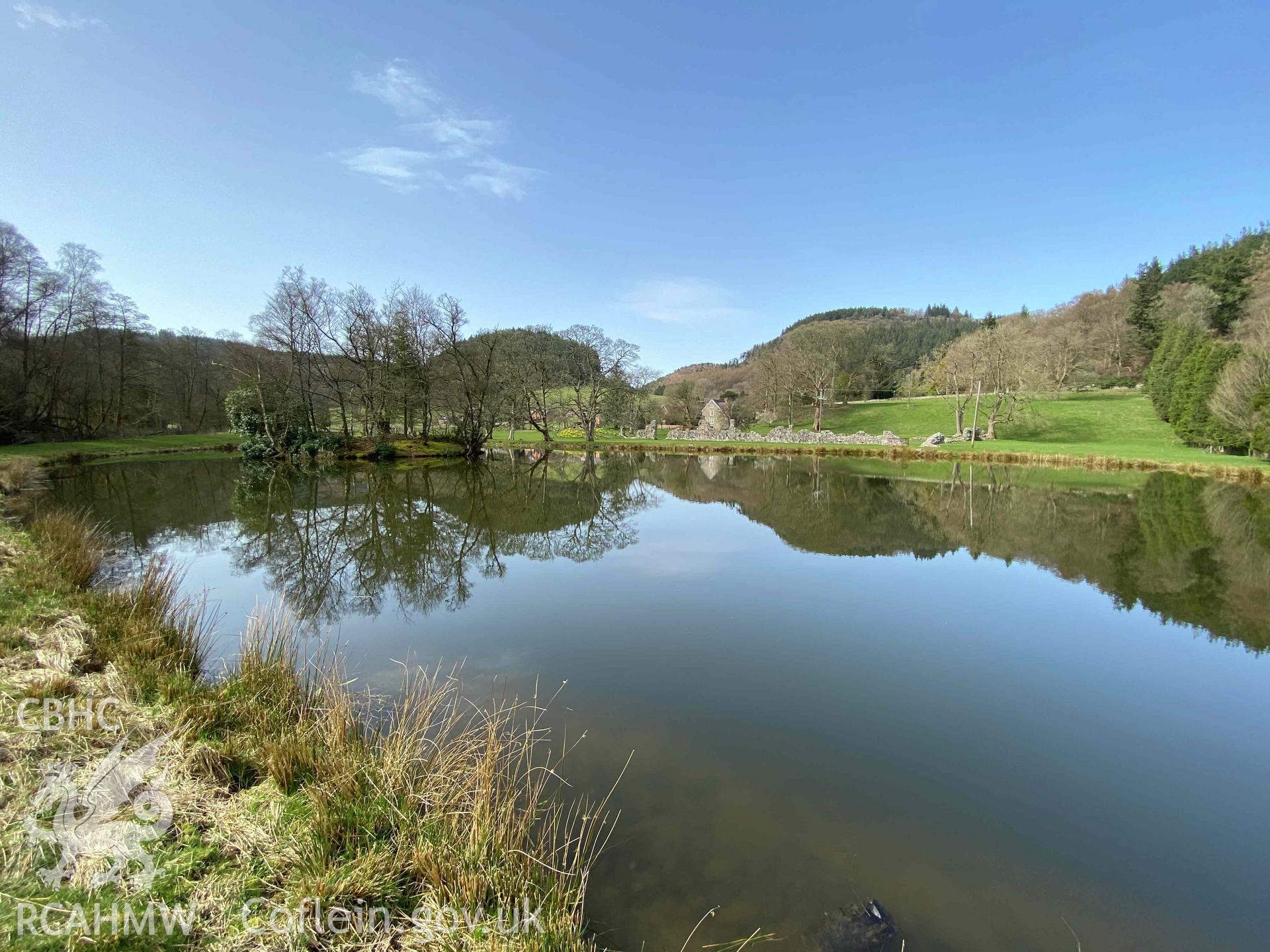 Digital photograph of pond at Abbey Cwmhir. Produced by Paul Davis in 2020