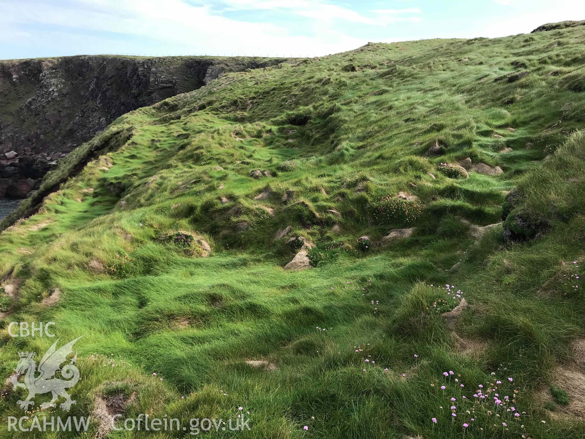 Digital photograph showing detailed view of remains of lower terrace on north side of Sheep Island, Pembrokeshire, produced by Paul Davis in 2020