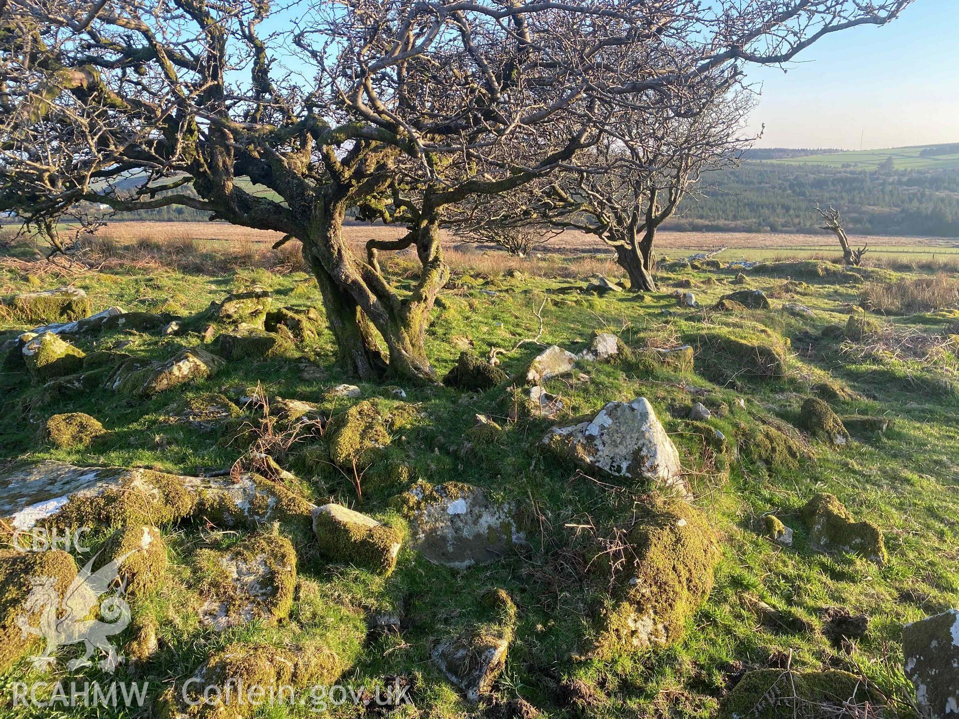 Digital photograph showing detailed view of site of longhut at New Inn deserted medieval village, produced by Paul Davis in 2020