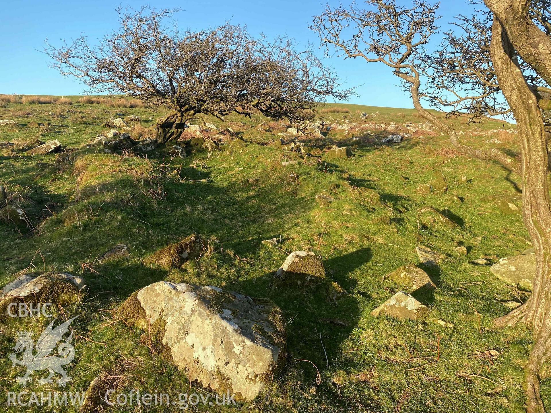 Digital photograph showing general view of site of longhut at New Inn deserted medieval village, produced by Paul Davis in 2020