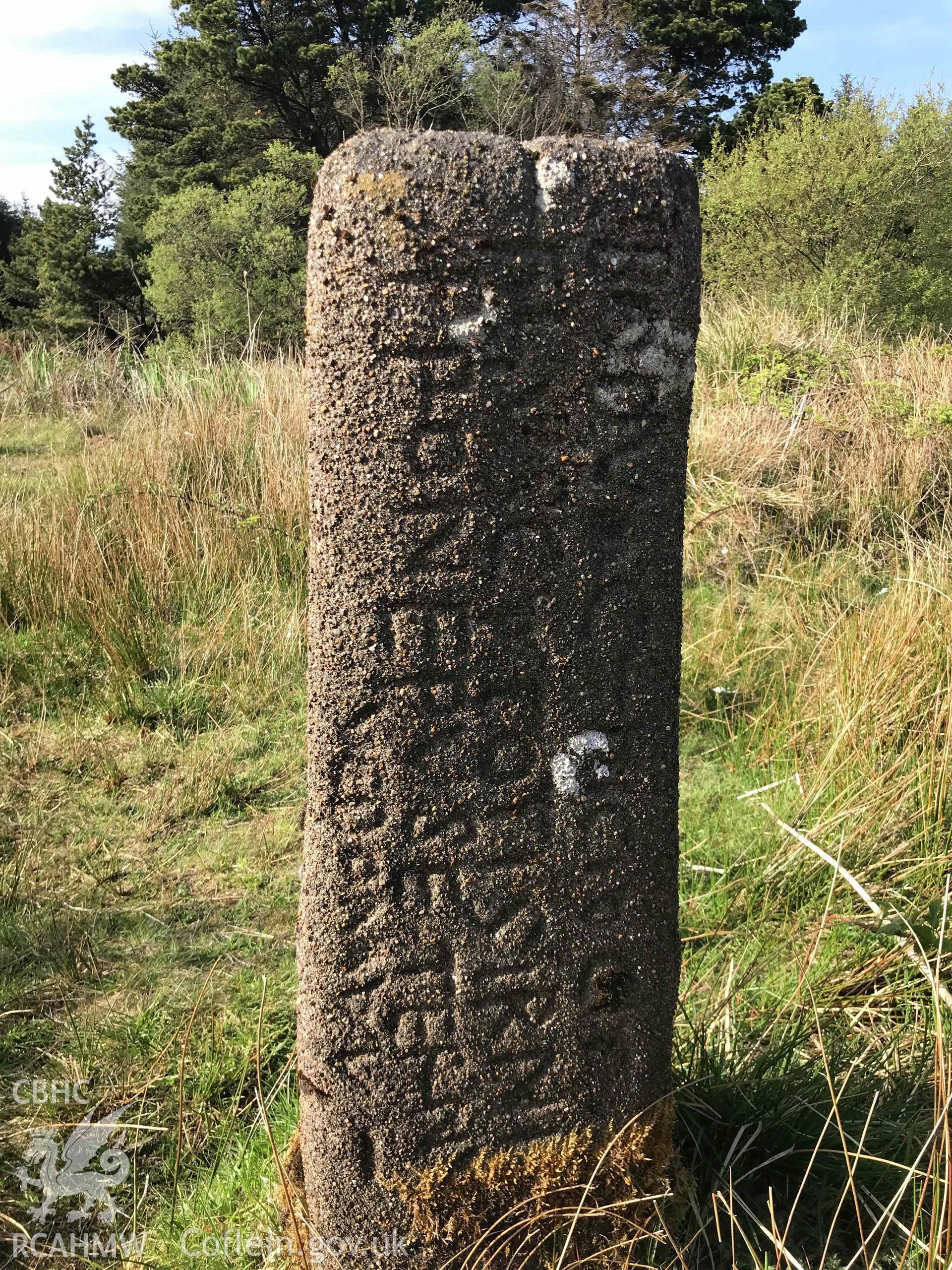 Digital photograph showing detailed view of Bodvoc Stone, Mynydd Margam, produced by Paul Davis in 2020