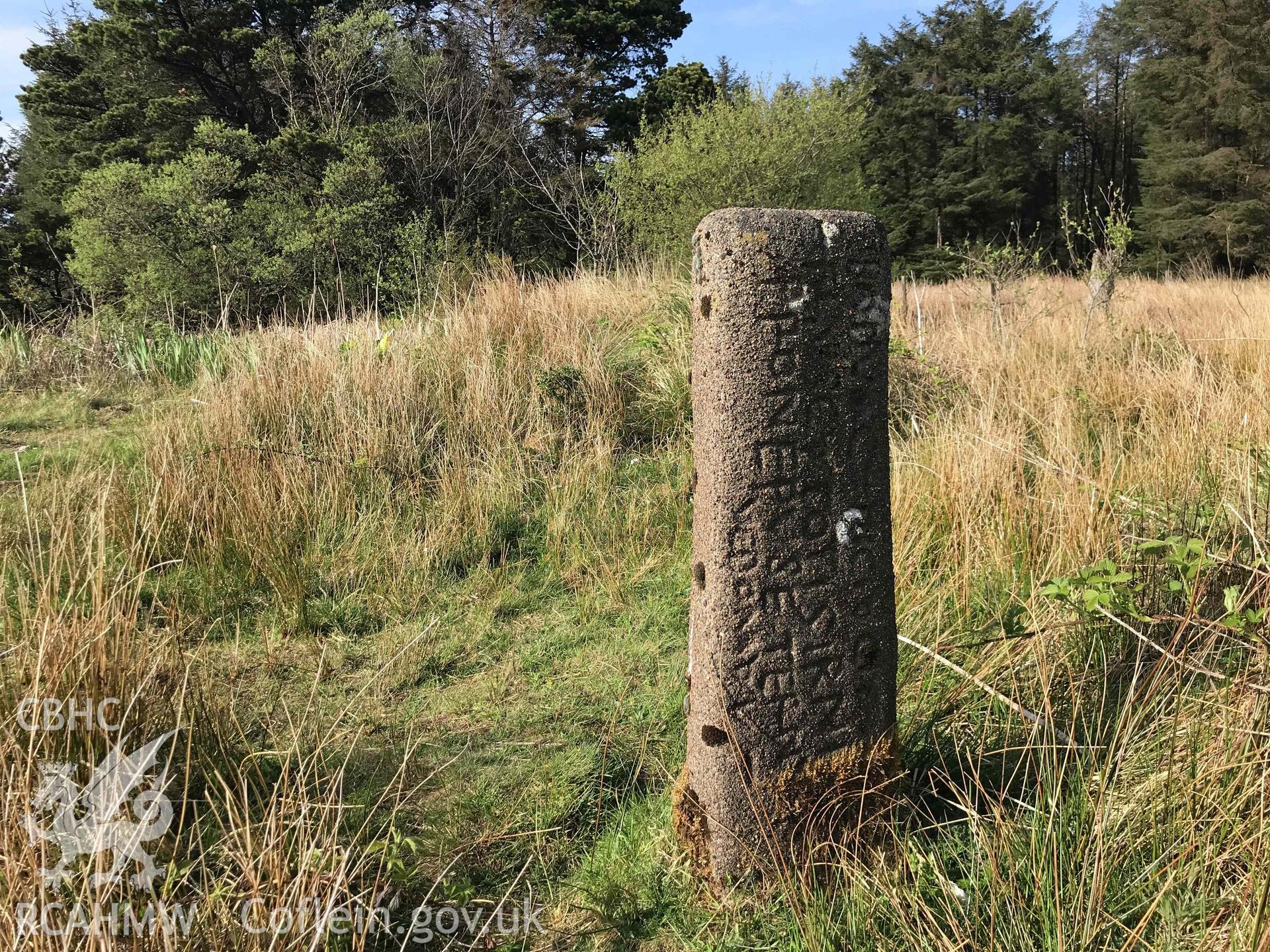 Digital photograph showing general view of Bodvoc Stone, Mynydd Margam, produced by Paul Davis in 2020