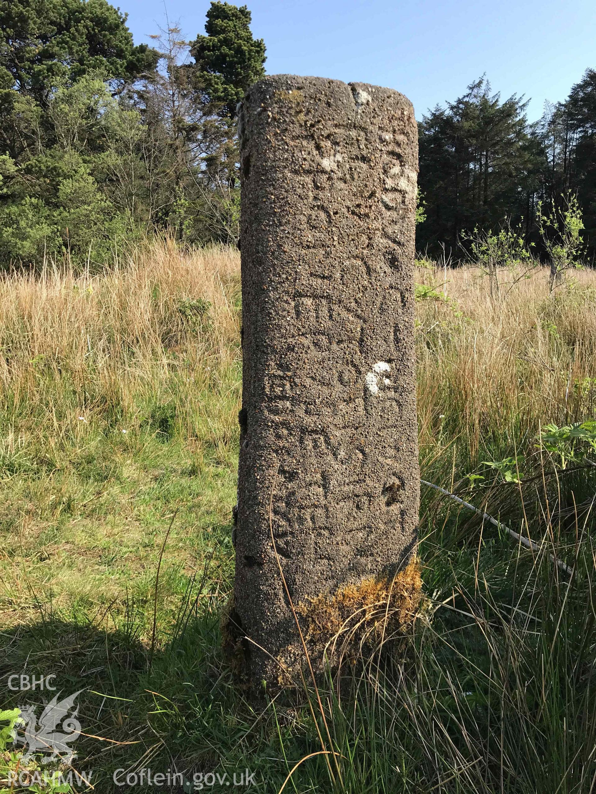 Digital photograph of Bodvoc Stone, Mynydd Margam, produced by Paul Davis in 2020