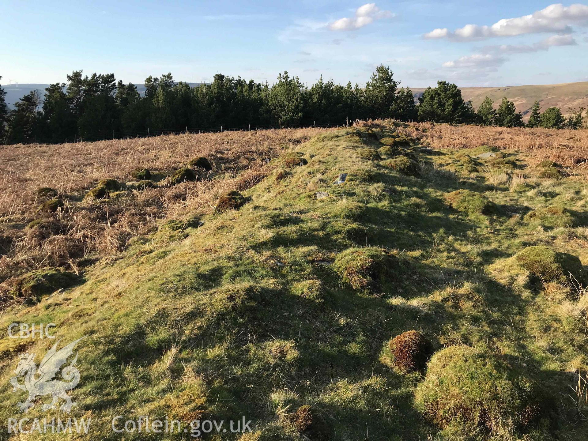 Digital photograph showing rubble bank at Maindy Camp, produced by Paul Davis in 2020