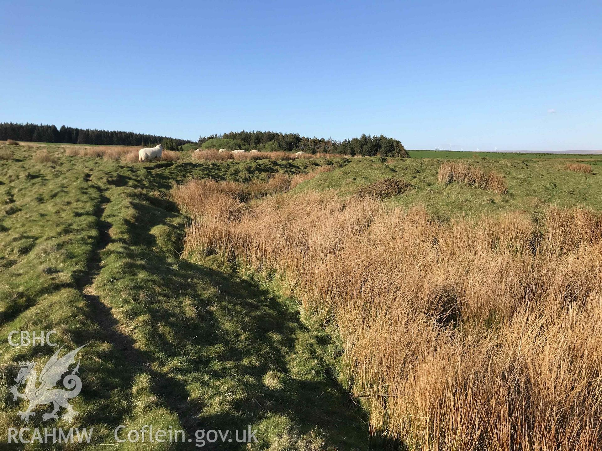 Digital photograph showing detailed view of Caer Blaen-y-Cwm, produced by Paul Davis in 2020