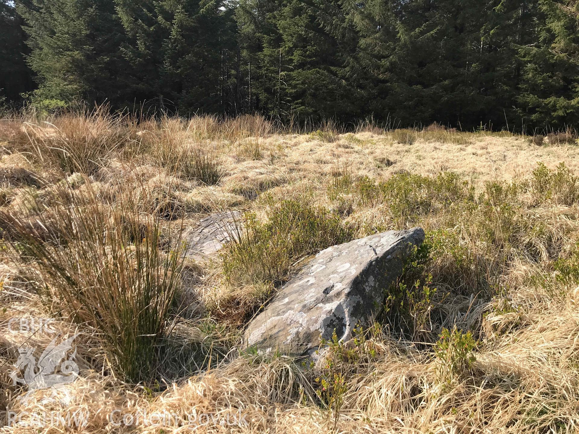 Digital photograph of Pebyll ring cairn, produced by Paul Davis in 2020