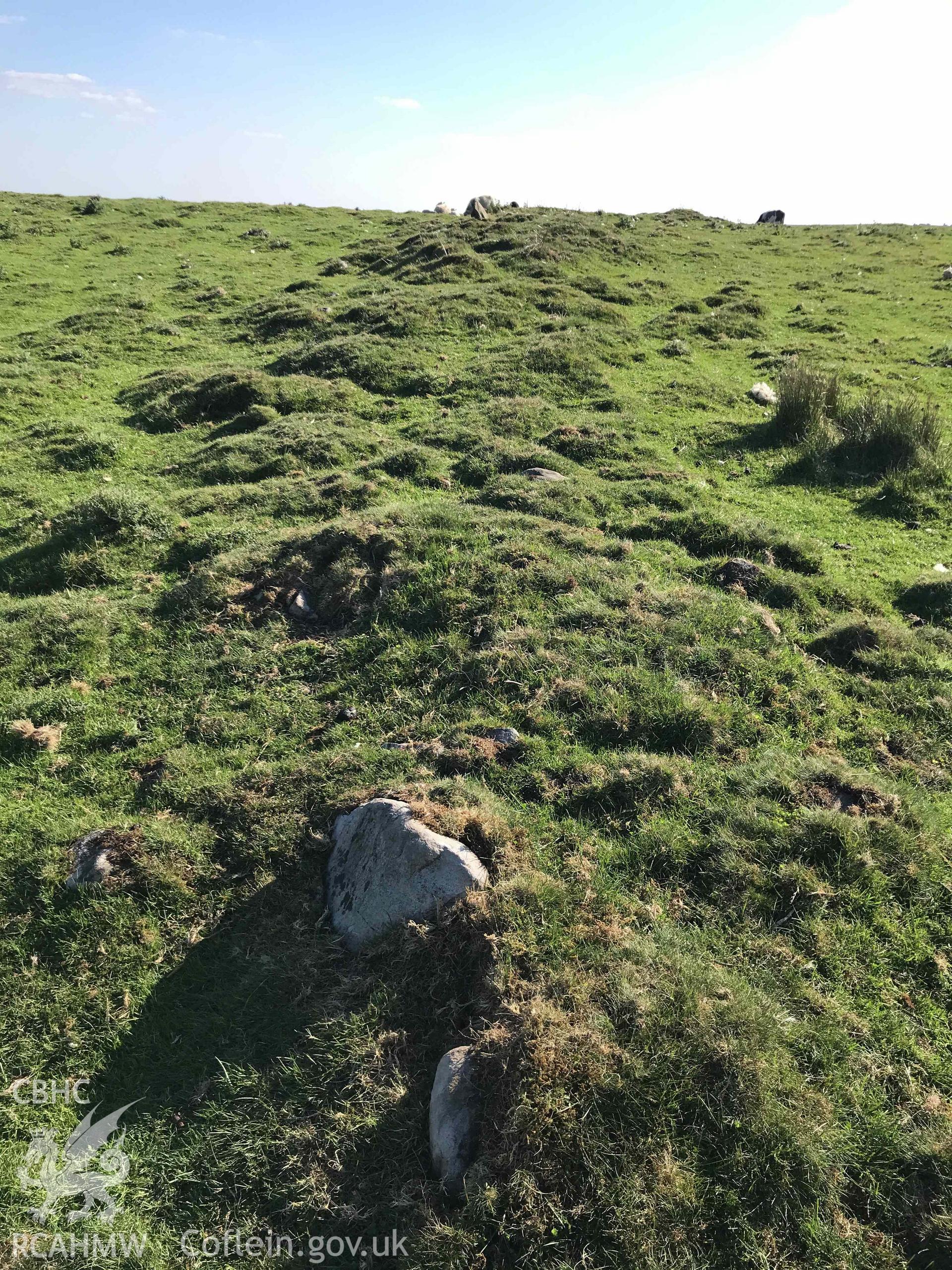 Digital photograph of enclosure walls at Cefn Merthyr cairn cemetery, produced by Paul Davis in 2020