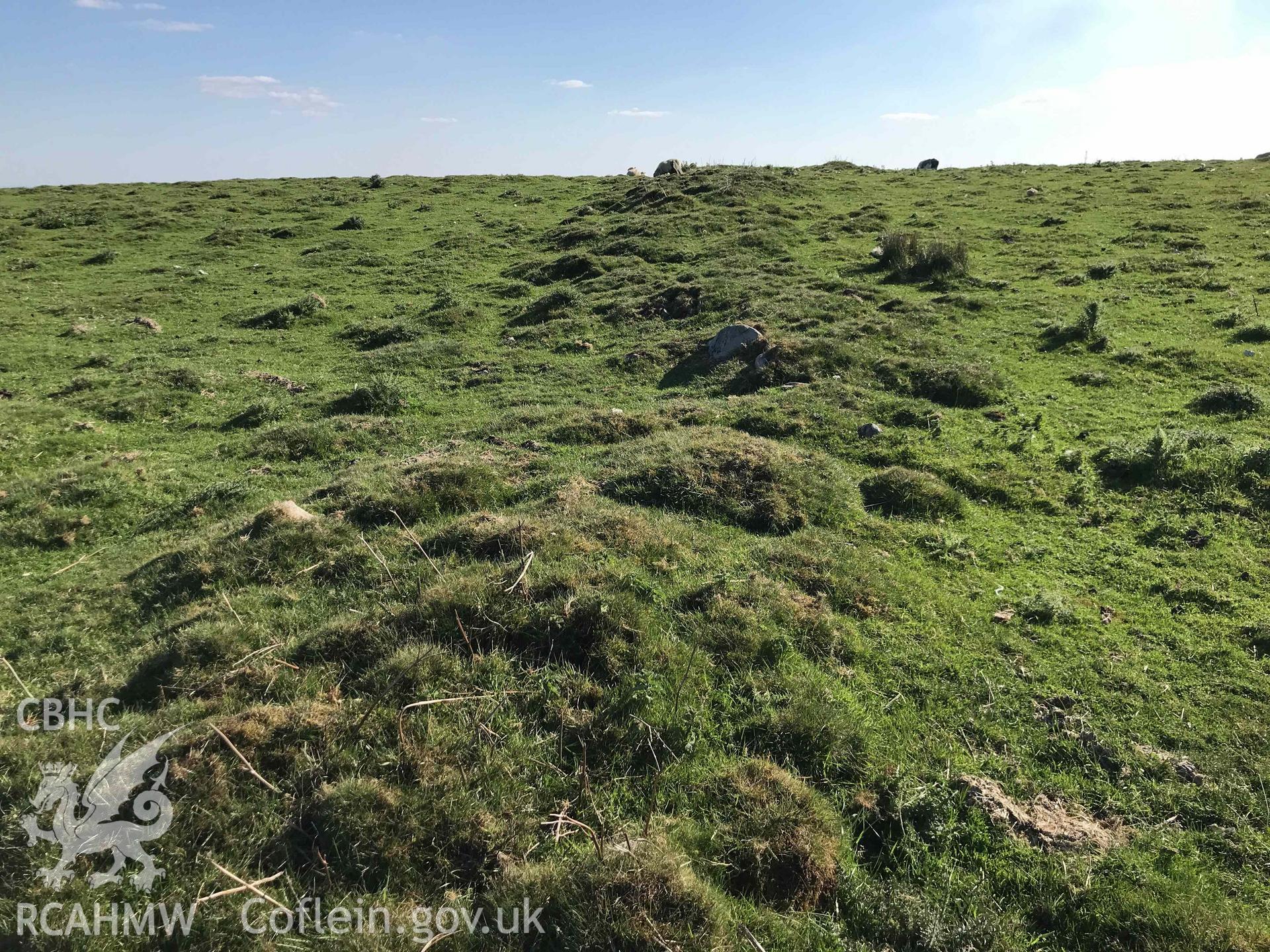 Digital photograph of enclosure walls at Cefn Merthyr cairn cemetery, produced by Paul Davis in 2020