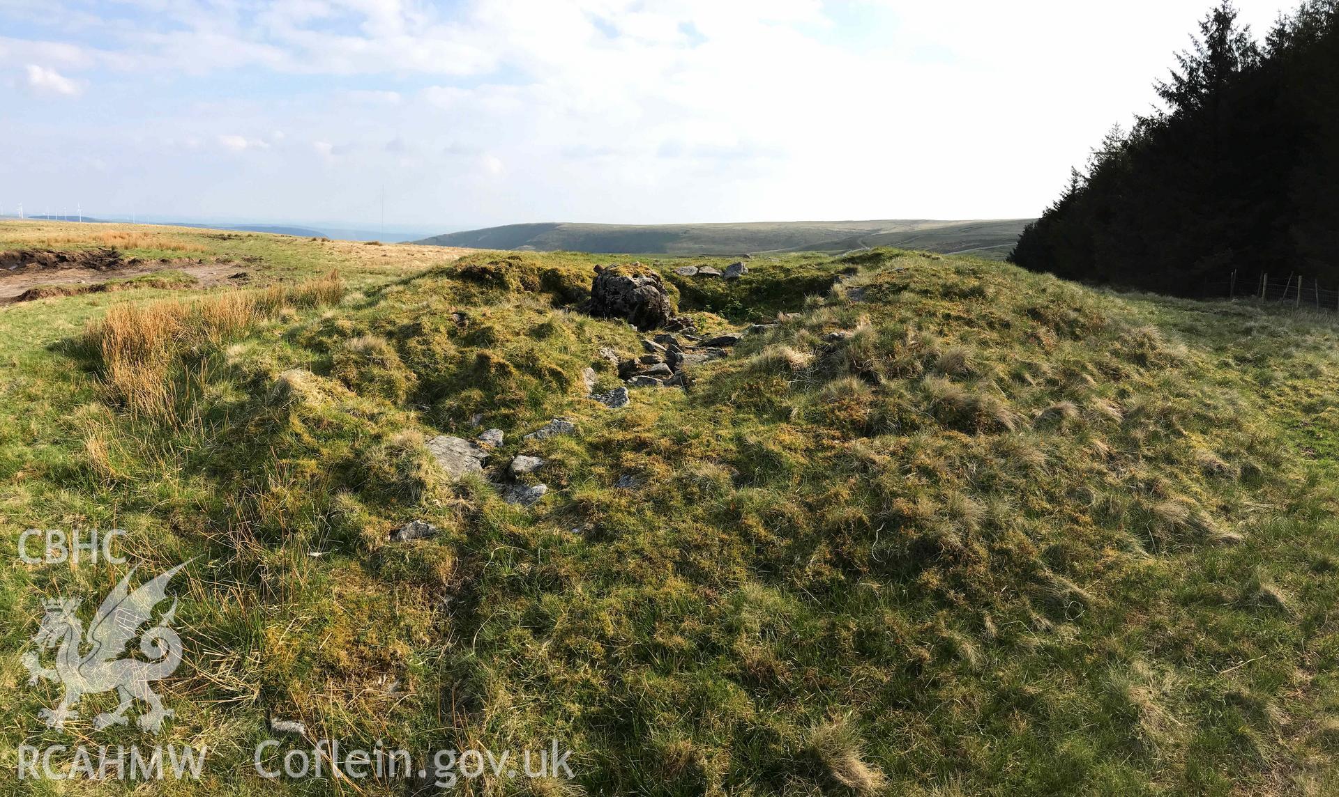 Digital photograph showing detailed view of Crug-yr-Afan, produced by Paul Davis in 2020