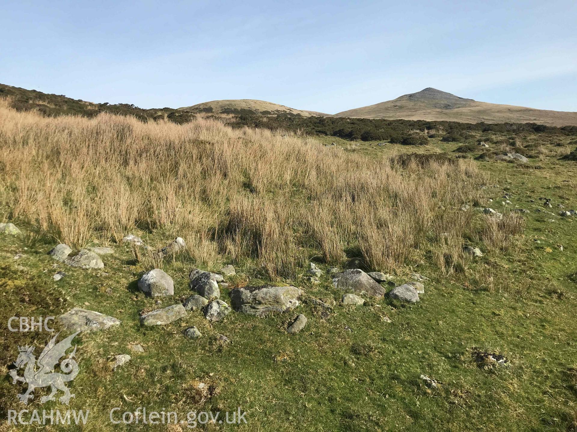 Digital photograph showing stones at Moel Faban settlement, produced by Paul Davis in 2020