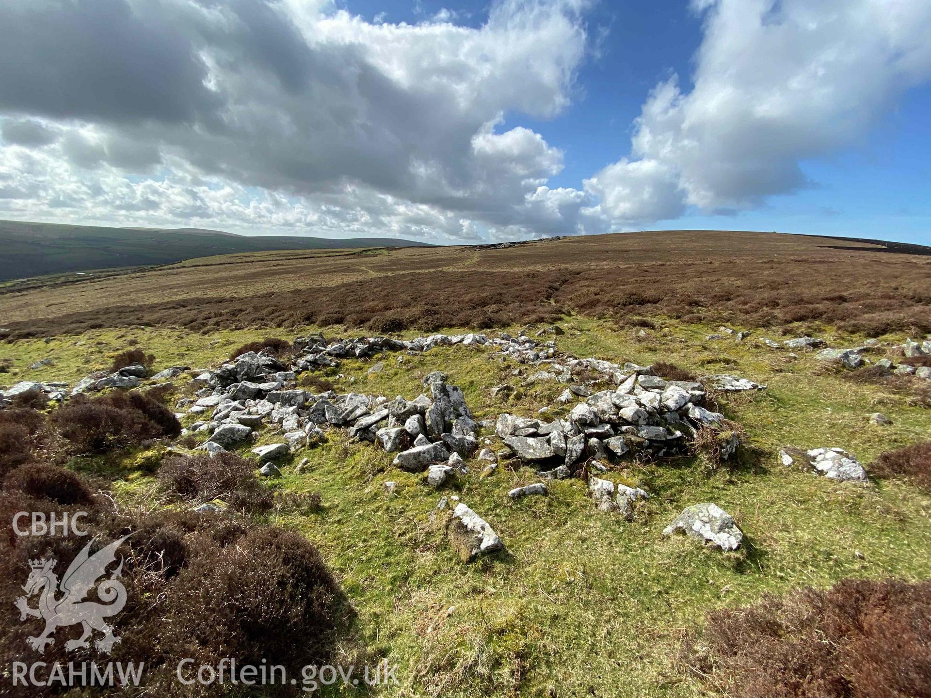 Digital photograph of hut circle at Carn Ingli camp, produced by Paul Davis in 2020