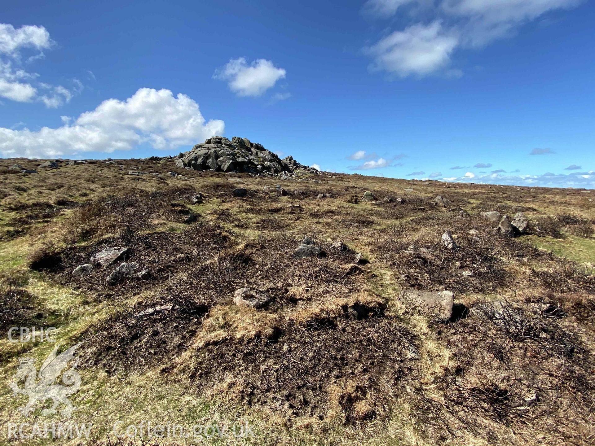 Digital photograph of Carnenoch enclosure, produced by Paul Davis in 2020