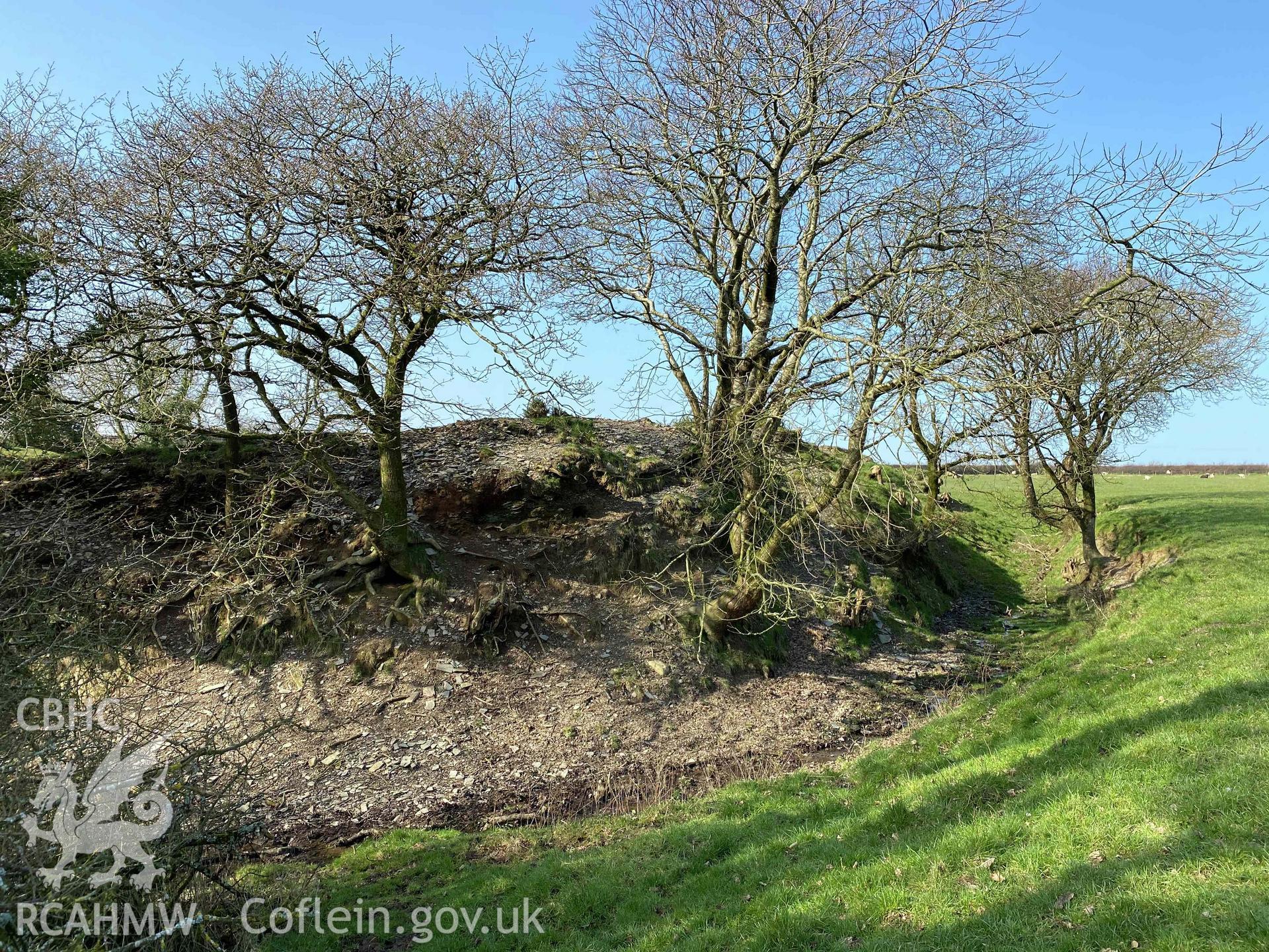 Digital photograph showing exposed tree roots at Castell Pen-yr-Allt, Llantood, produced by Paul Davis in 2020