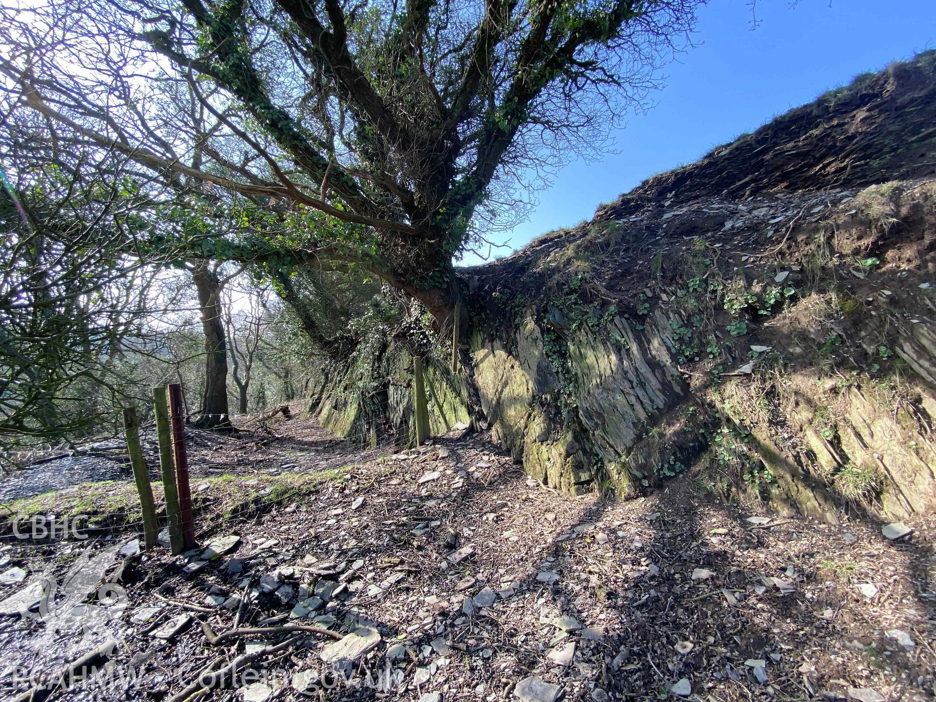 Digital photograph showing bank and ditch at Castell Pen-yr-Allt, Llantood, produced by Paul Davis in 2020