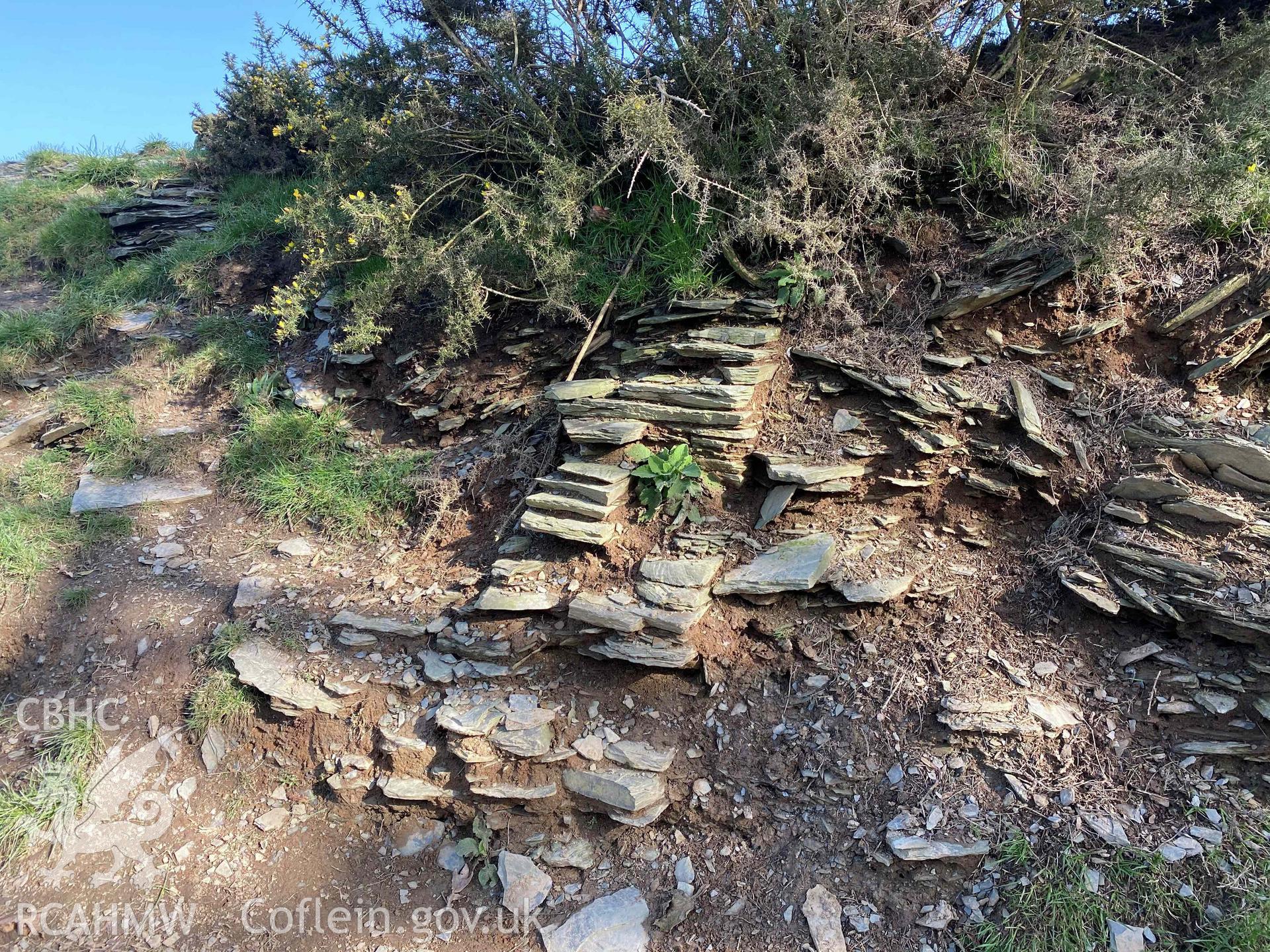 Digital photograph showing detailed view of stony bank at Castell Pen-yr-Allt, Llantood, produced by Paul Davis in 2020