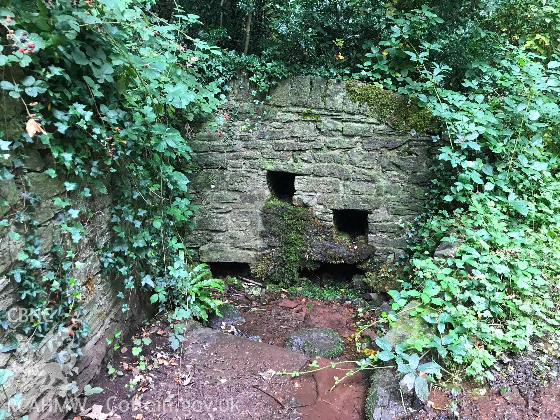 Digital photograph of Brecon well. Produced by Paul Davis in 2020