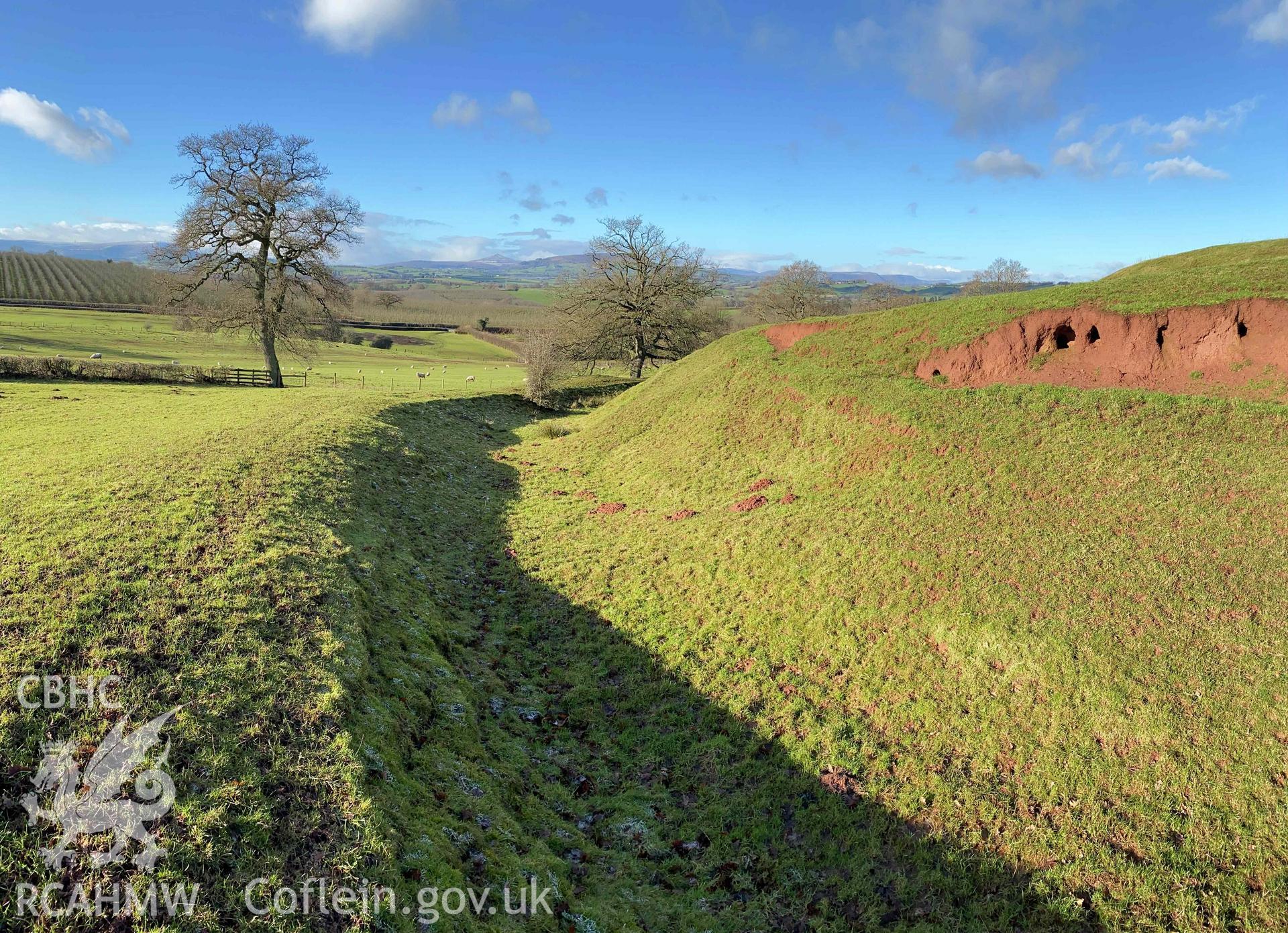 Digital photograph of motte ditch on east side of Penrhos Castle, produced by Paul Davis in 2020