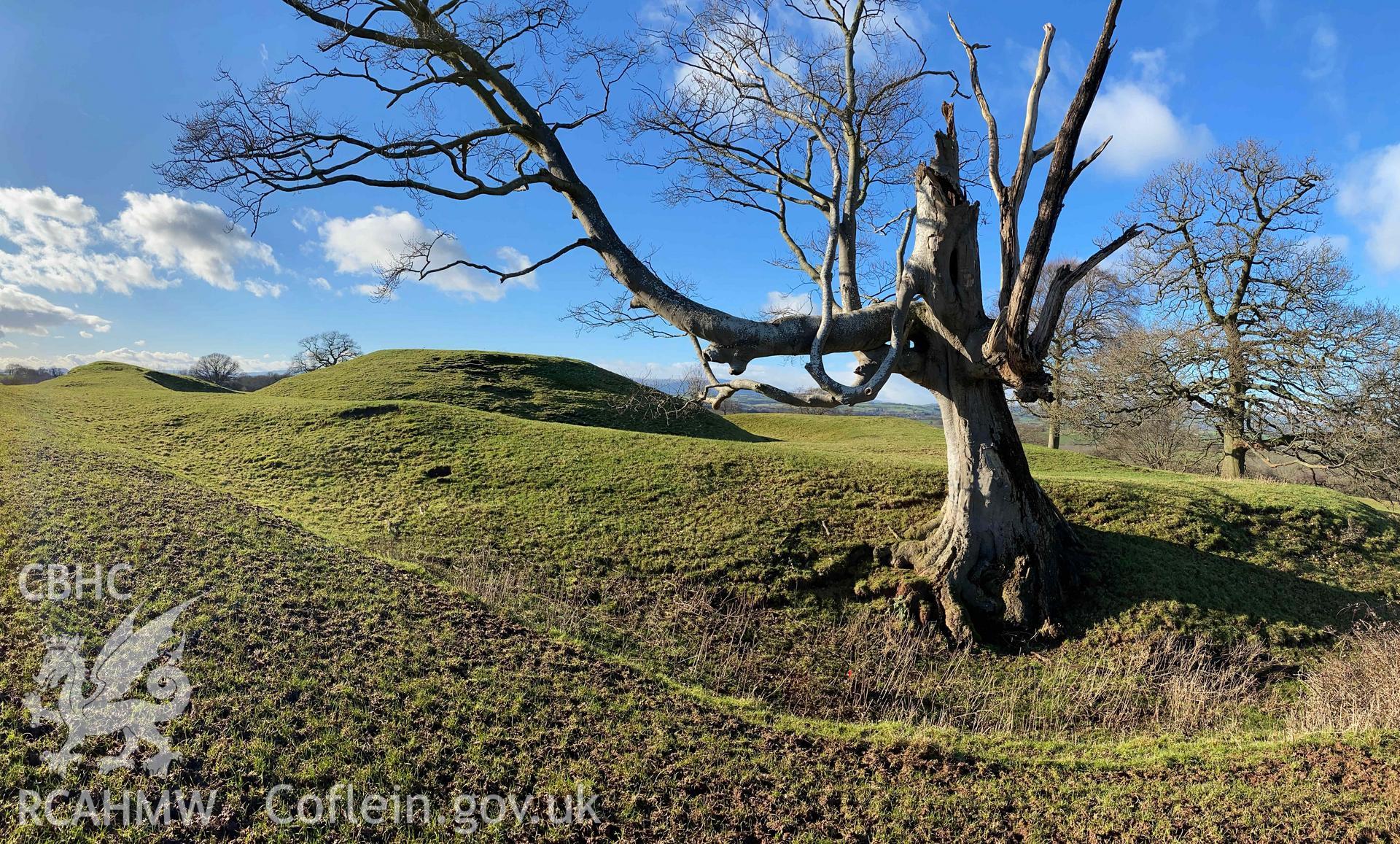 Digital photograph of Penrhos motte and bailey castle, produced by Paul Davis in 2020