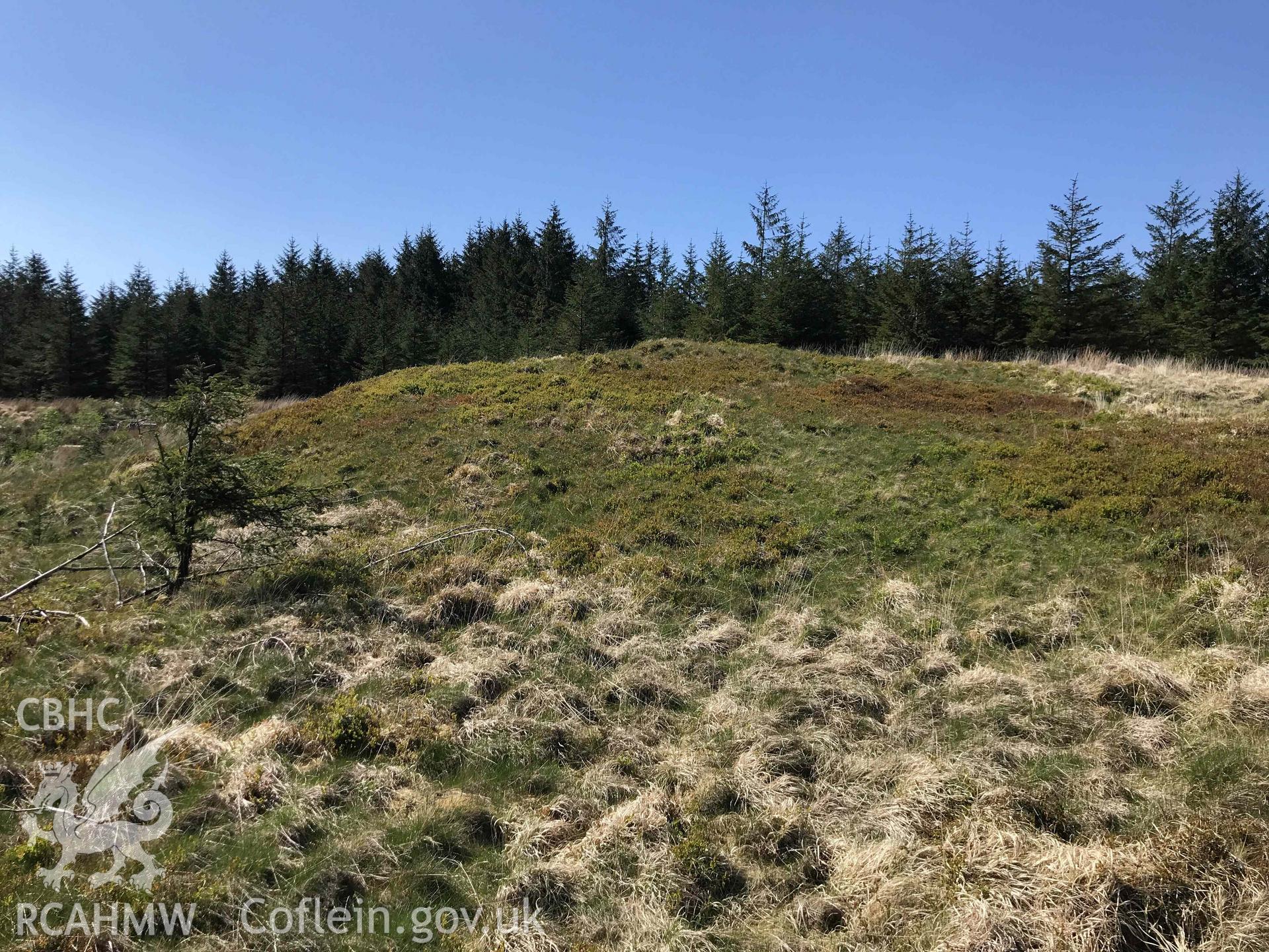 Digital photograph of Garn Fach cairn, Treherbert, produced by Paul Davis in 2020