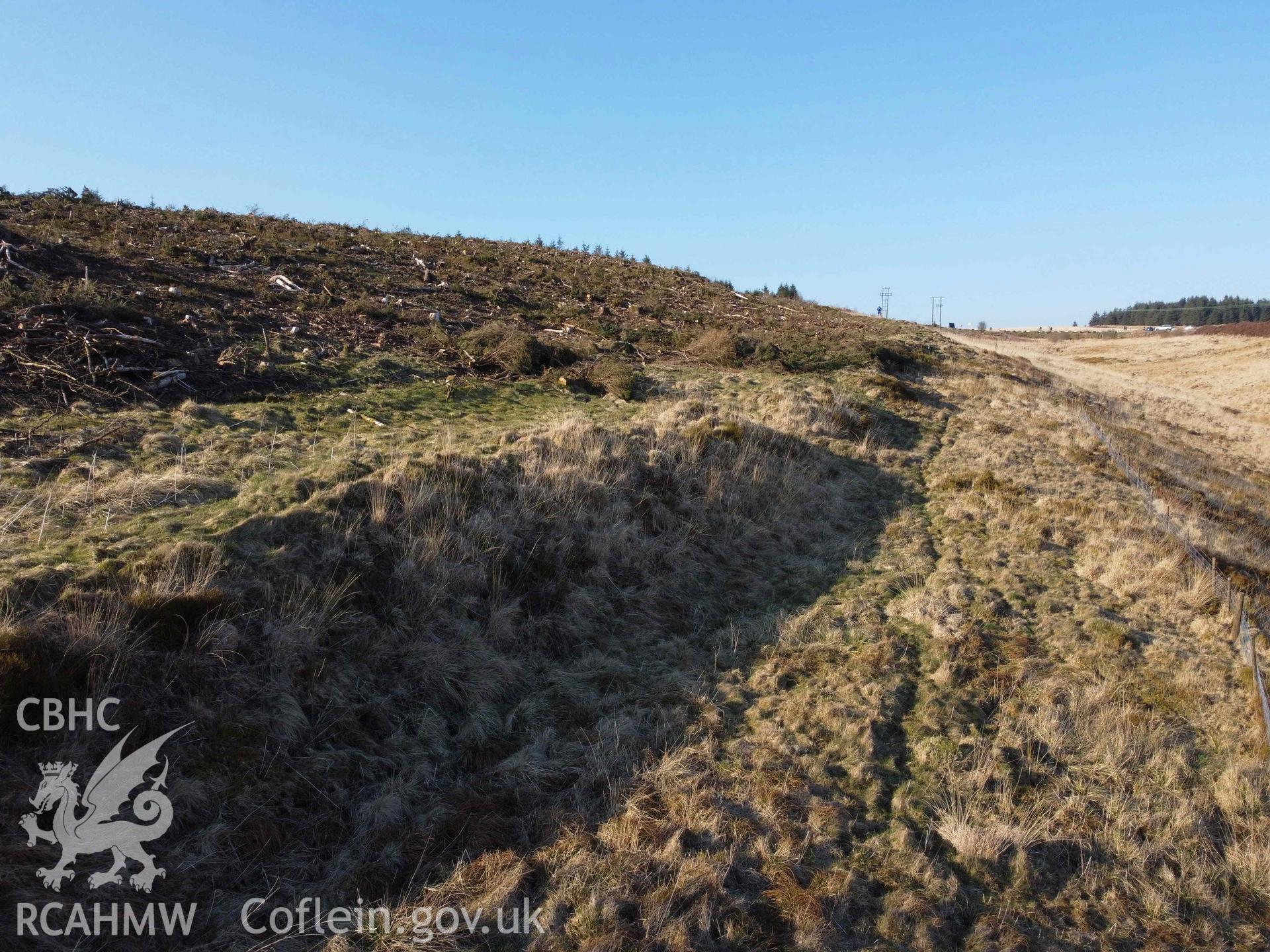 Digital photograph of Ffos Toncenglau, Treherbert, produced by Paul Davis in 2020