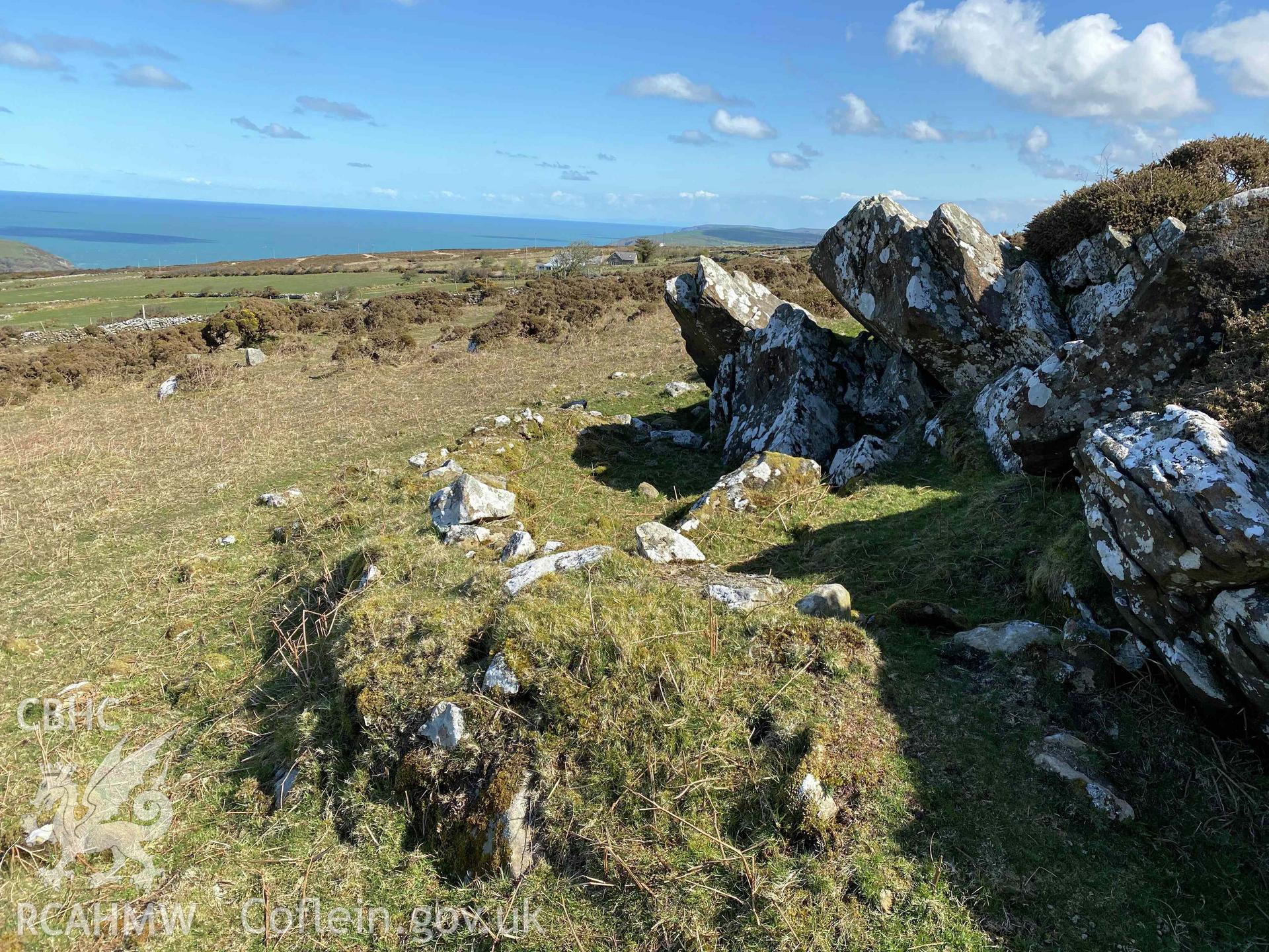 Digital photograph of sheepfold at Bryn Hyfryd possible settlement, produced by Paul Davis in 2020