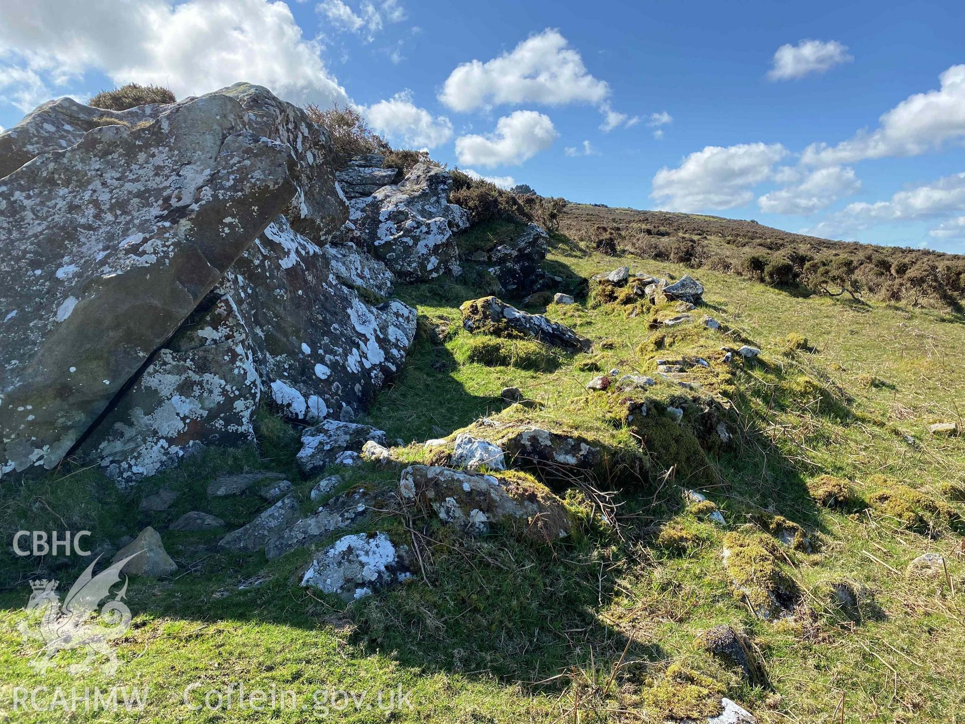 Digital photograph of sheepfold at Bryn Hyfryd possible settlement, produced by Paul Davis in 2020