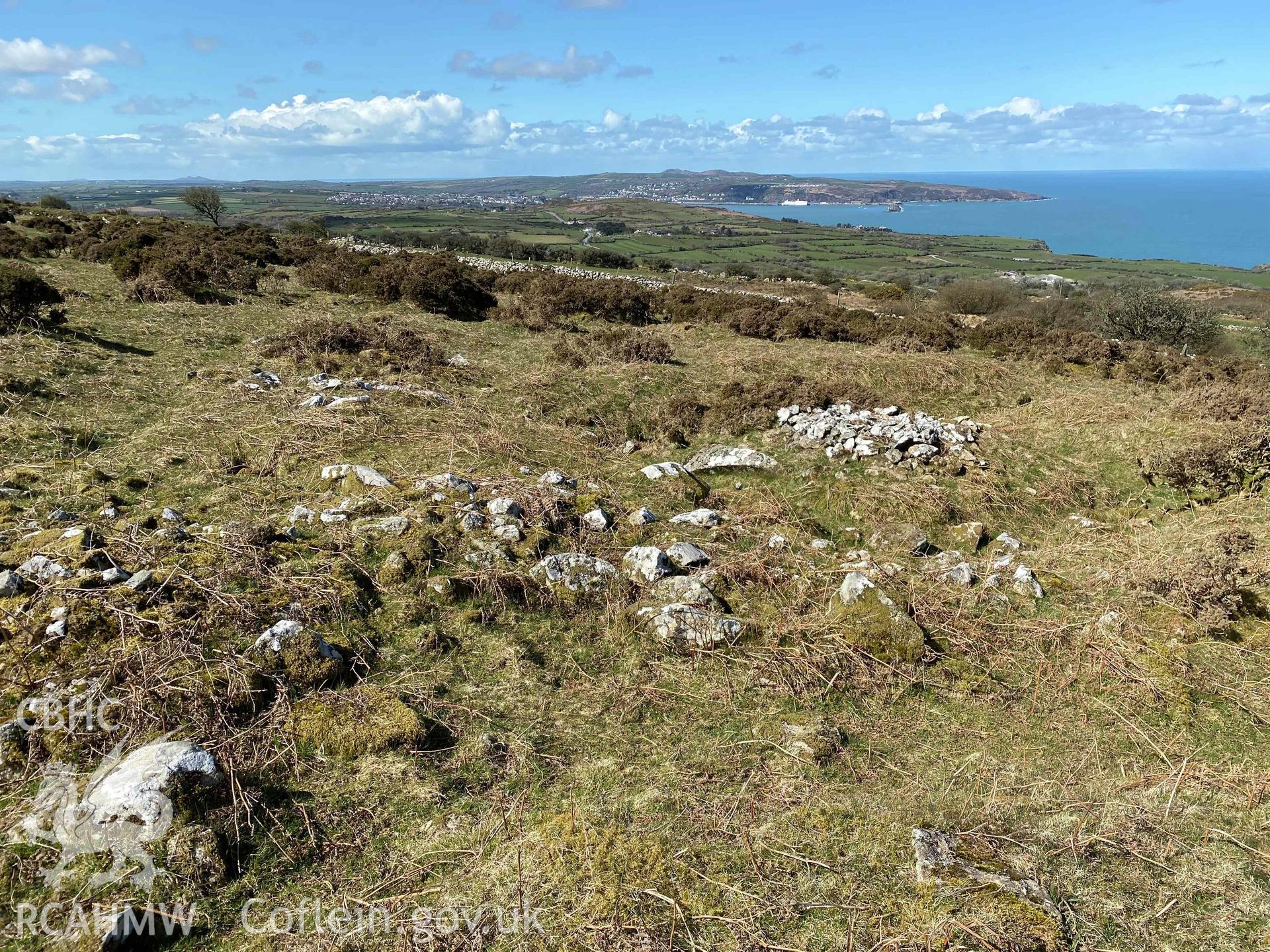 Digital photograph of square mound at Bryn Hyfryd possible settlement, produced by Paul Davis in 2020