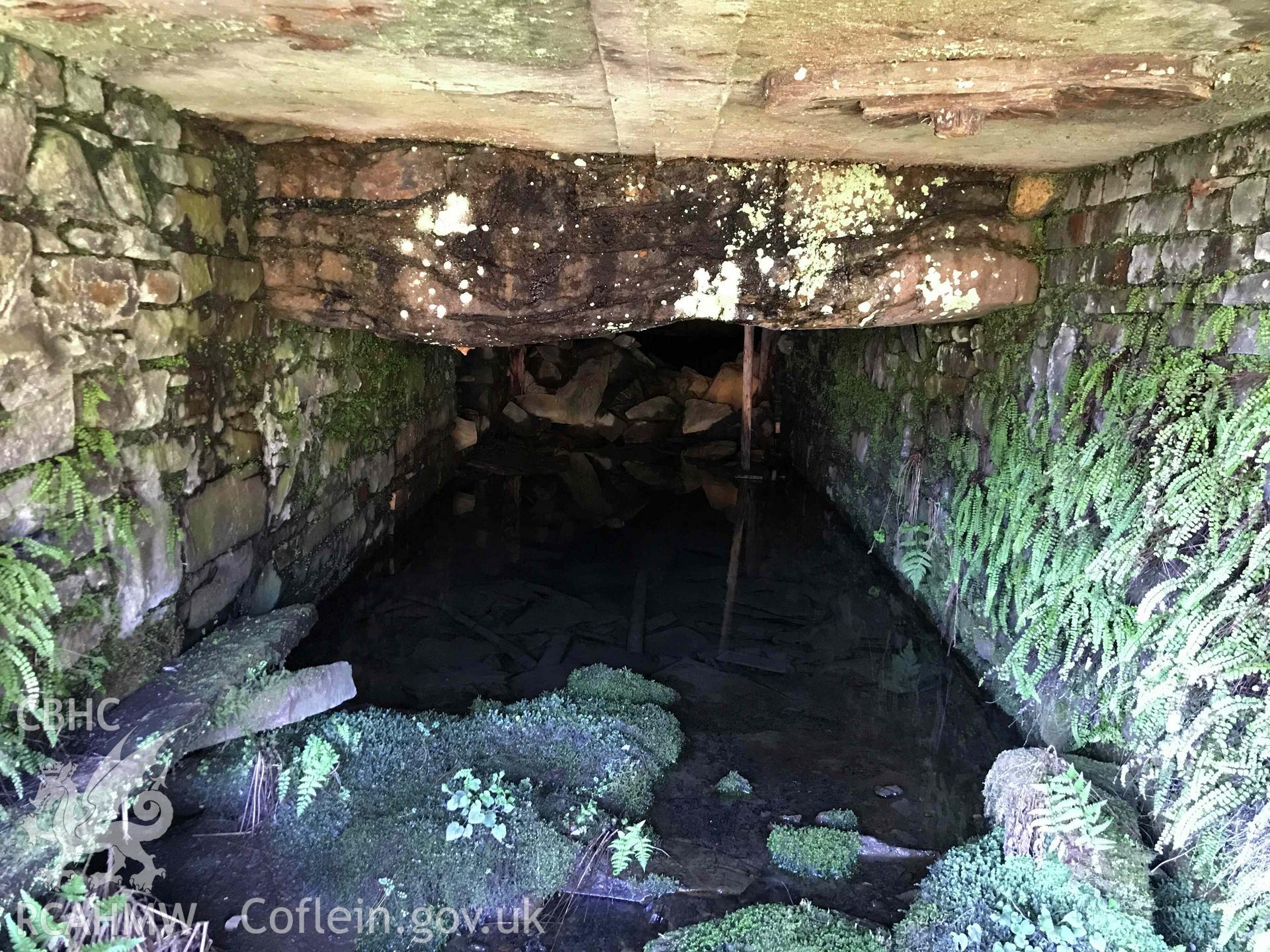 Digital photograph of adit near Scwyd Level, Craig yr Hesg, Treherbert, produced by Paul Davis in 2020