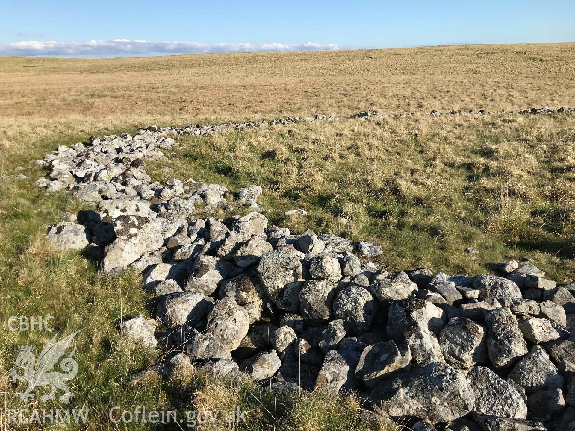 Digital photograph of ring cairn at Cefn Sychbant. Produced by Paul Davis in 2020