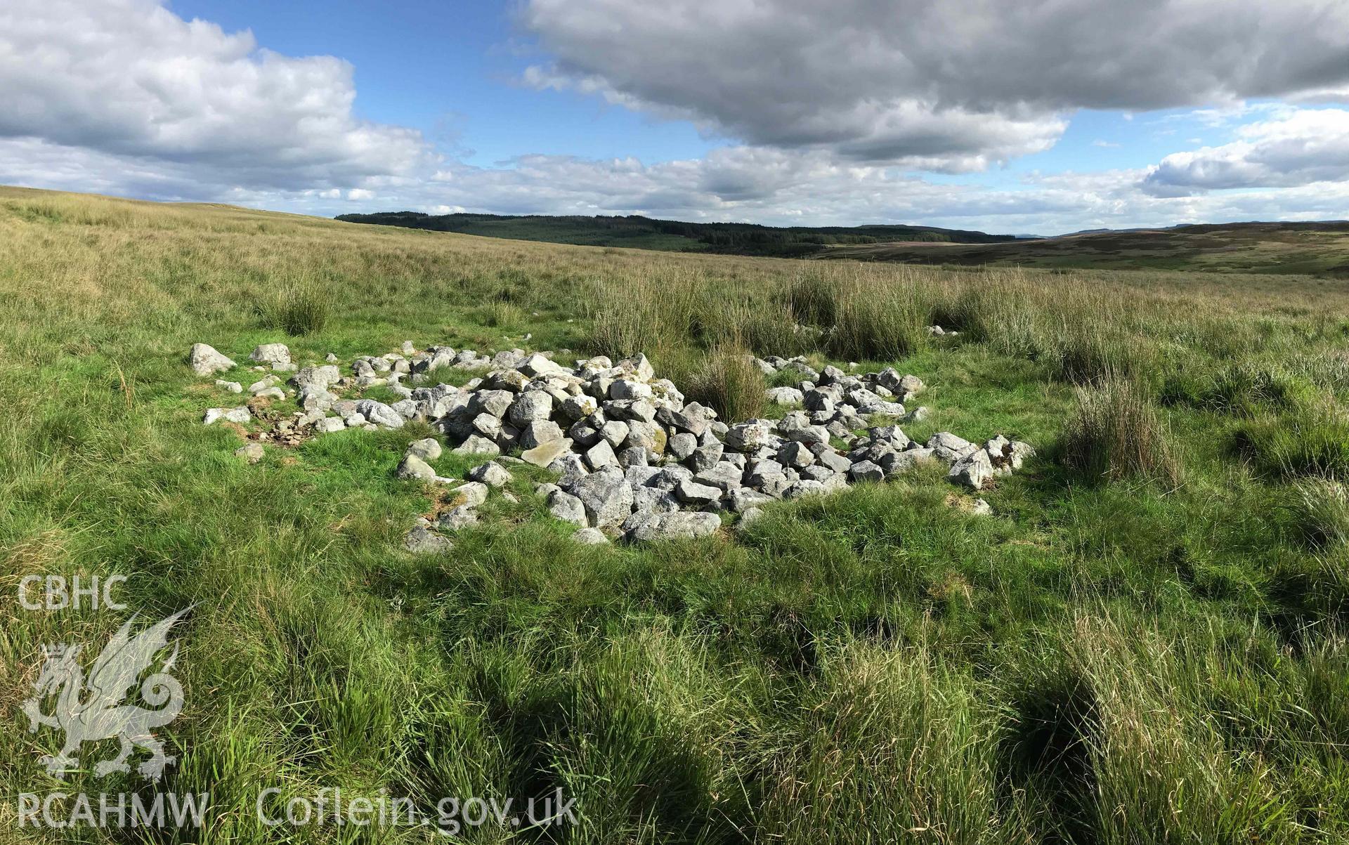 Digital photograph showing general view of cairn at Cefn Sychbant (west). Produced by Paul Davis in 2020