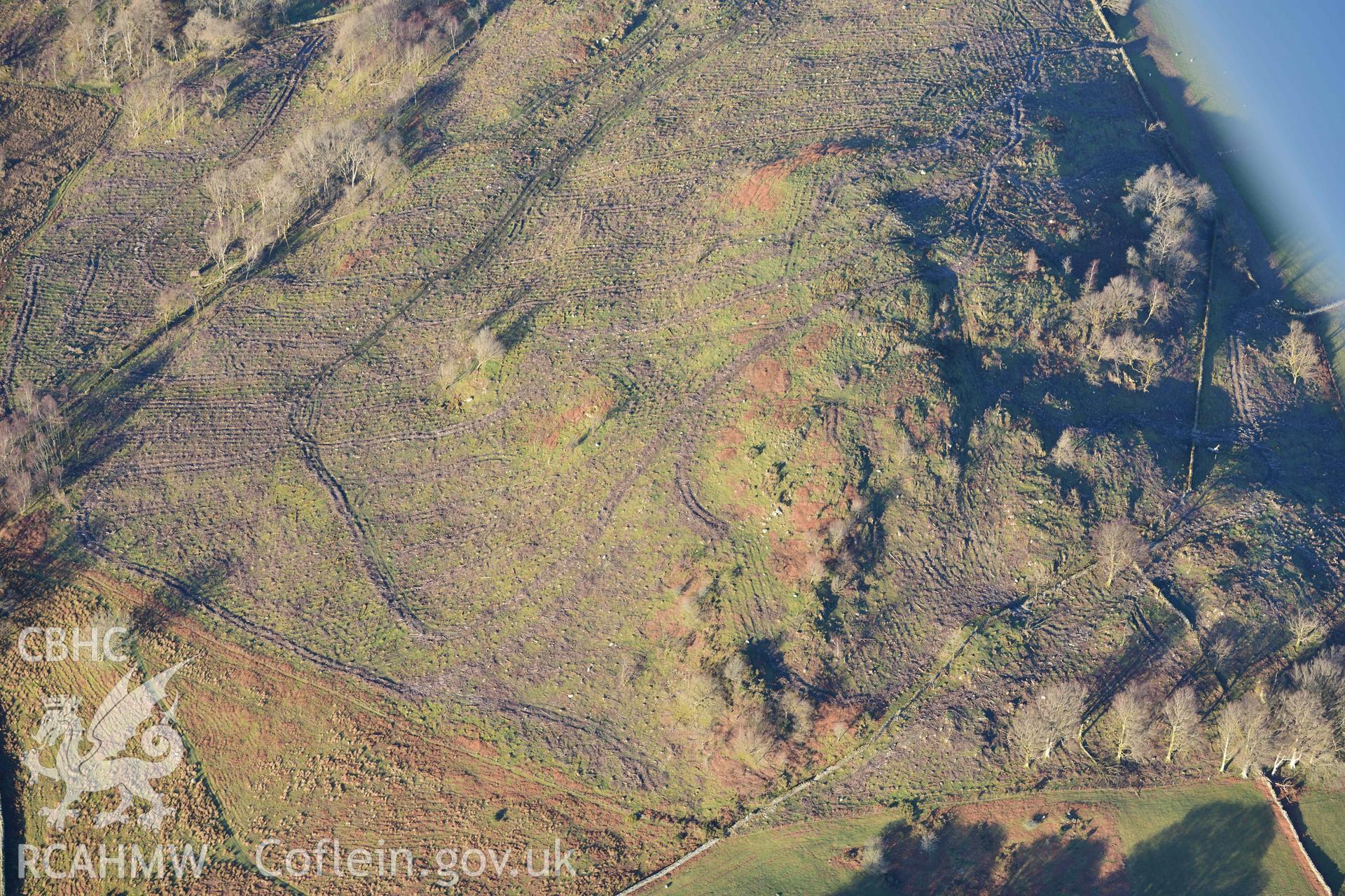 Oblique aerial photograph showing land to the immediate north of Cymmer Castle mound. Taken during the Royal Commission’s programme of archaeological aerial reconnaissance by Toby Driver on 17th January 2022