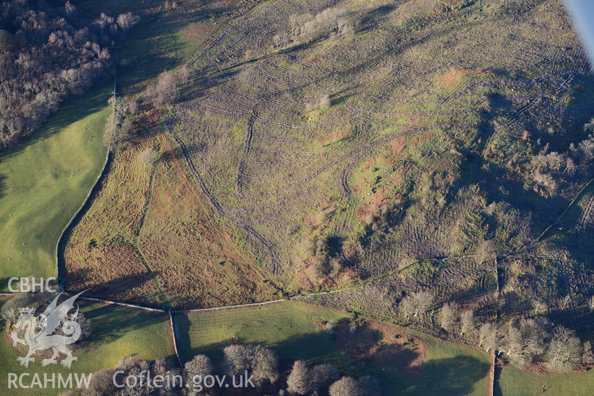 Oblique aerial photograph showing land to the immediate north of Cymmer Castle mound. Taken during the Royal Commission’s programme of archaeological aerial reconnaissance by Toby Driver on 17th January 2022