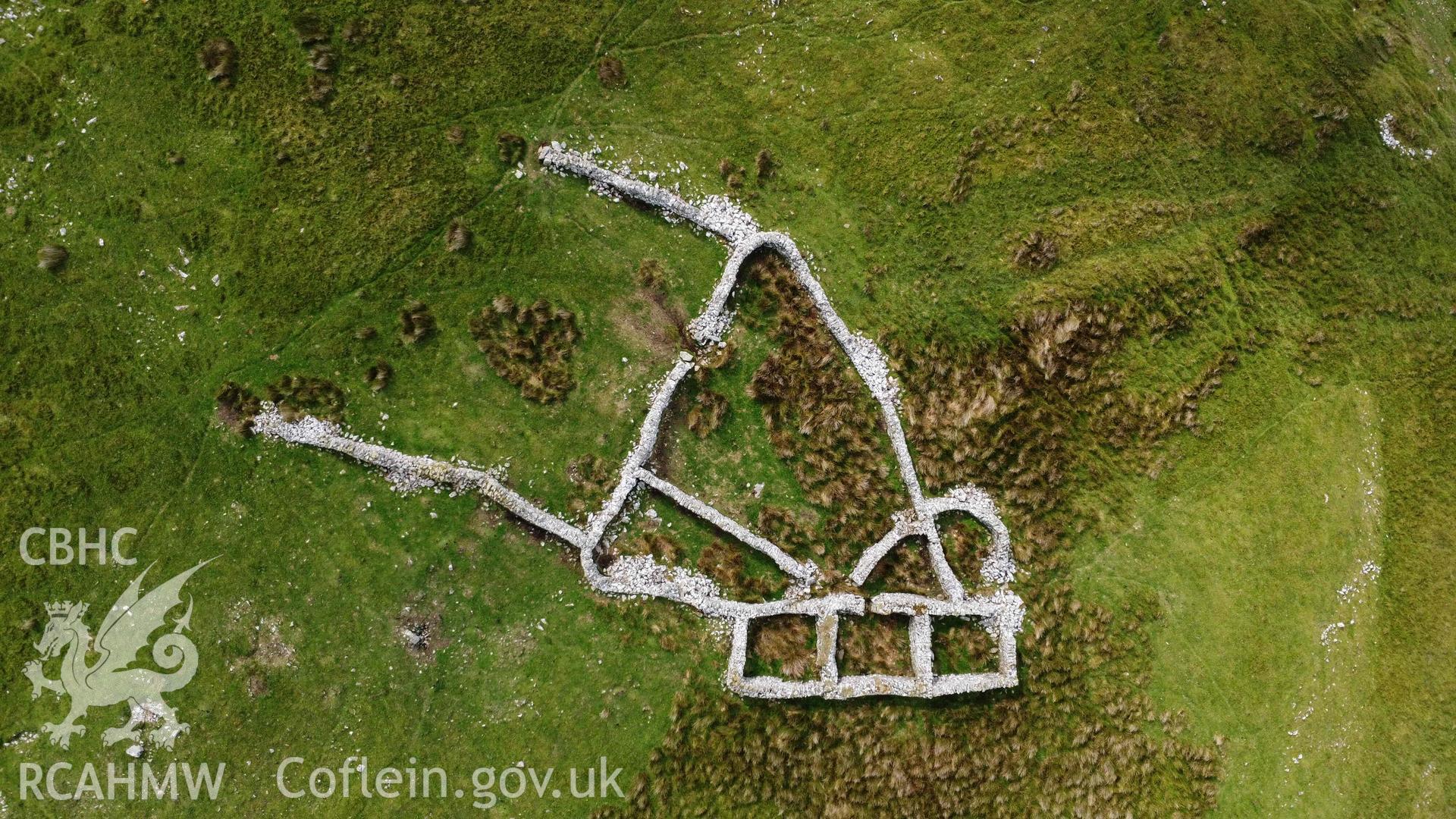 Digital aerial photograph showing multicellular sheep fold, Moel-yr-Wden. Taken in July 2023 by John Rowlands.