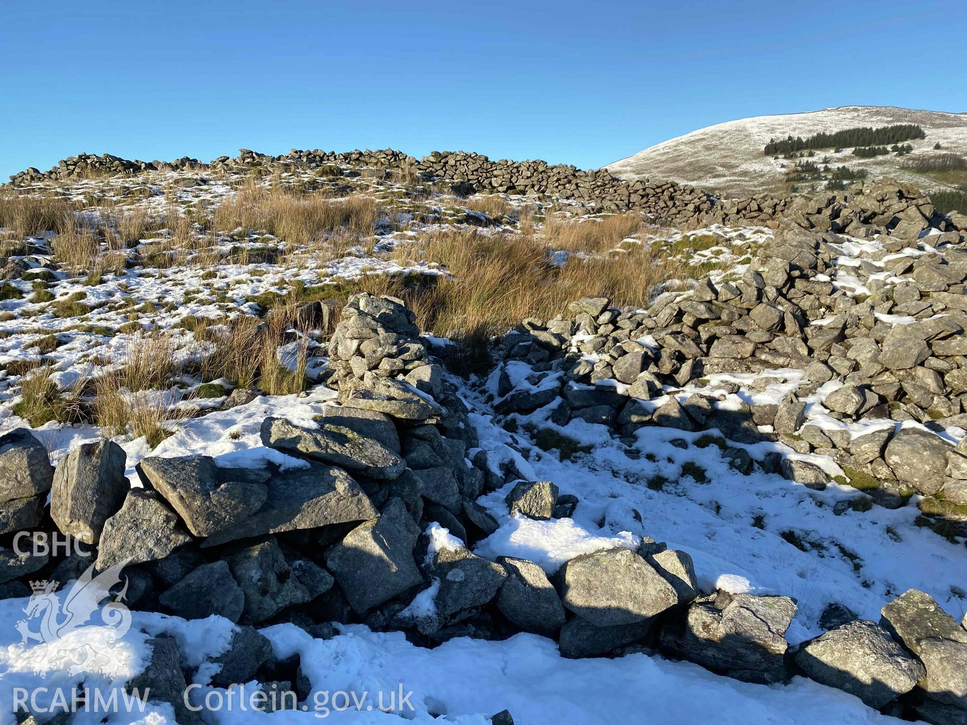 Digital photograph of ruin near Craig-y-Dinas enclosed settlement, produced by Paul Davis in 2023