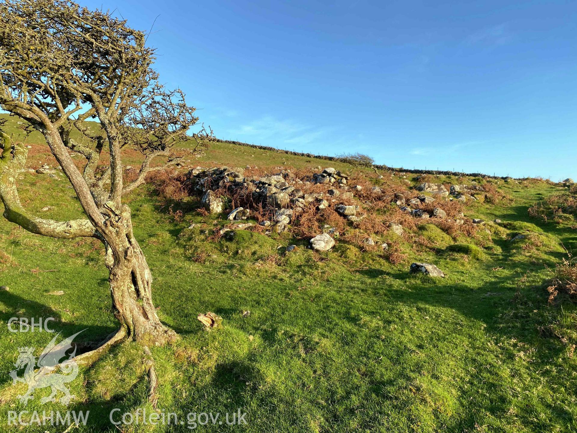 Digital photograph showing general view of Mynydd Egryn longhouse, produced by Paul Davis in 2023