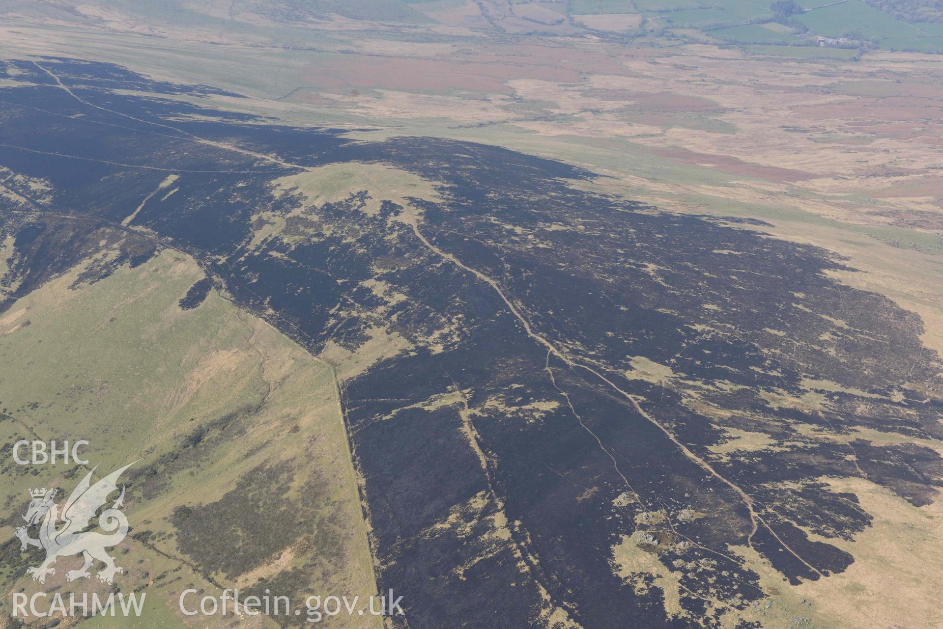 Mynydd Preseli, bracken burn centred on Foel Feddau, view from the east. Oblique aerial photograph taken during the Royal Commission’s programme of archaeological aerial reconnaissance by Toby Driver on 25 March 2022.