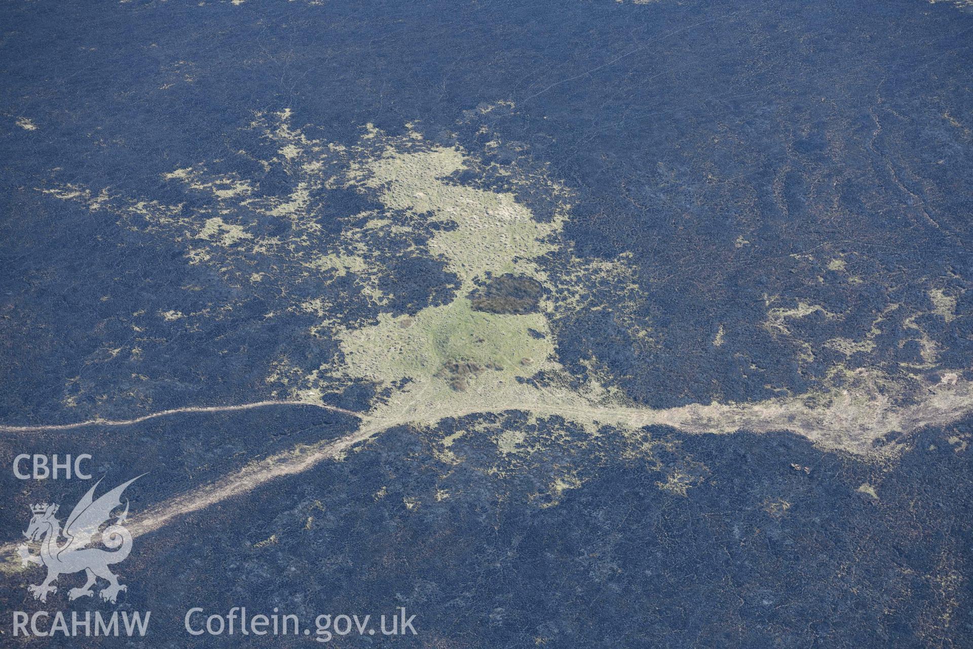 Mynydd Preseli, bracken burn around Foel Cwm-Cerwyn. Oblique aerial photograph taken during the Royal Commission’s programme of archaeological aerial reconnaissance by Toby Driver on 25 March 2022.