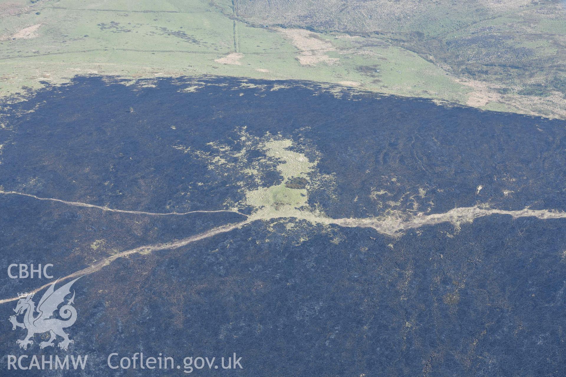 Mynydd Preseli, bracken burn around Foel Cwm-Cerwyn. Oblique aerial photograph taken during the Royal Commission’s programme of archaeological aerial reconnaissance by Toby Driver on 25 March 2022.