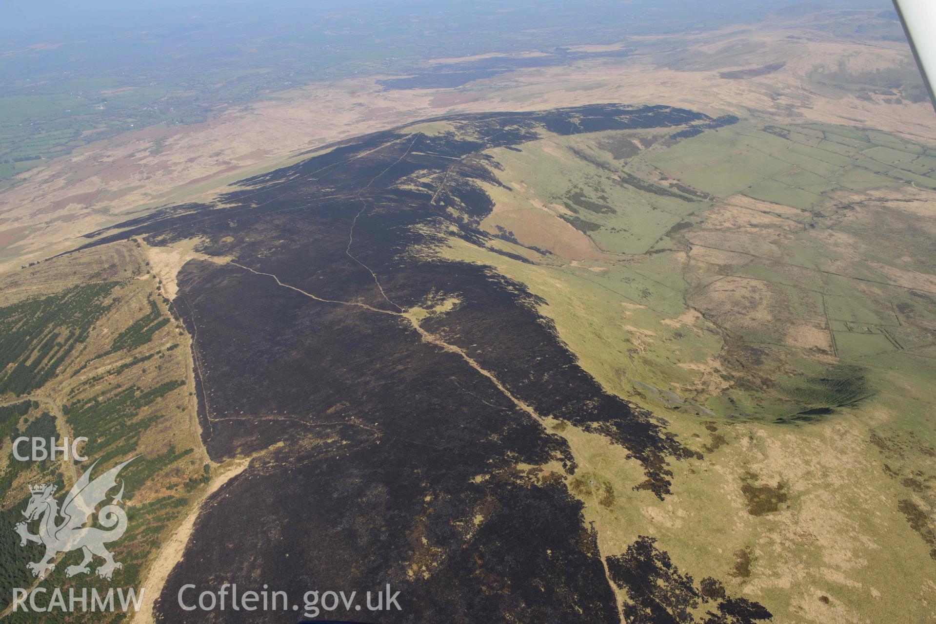 Mynydd Preseli, bracken burn around Foel Cwm-Cerwyn cairns. Oblique aerial photograph taken during the Royal Commission’s programme of archaeological aerial reconnaissance by Toby Driver on 25 March 2022.