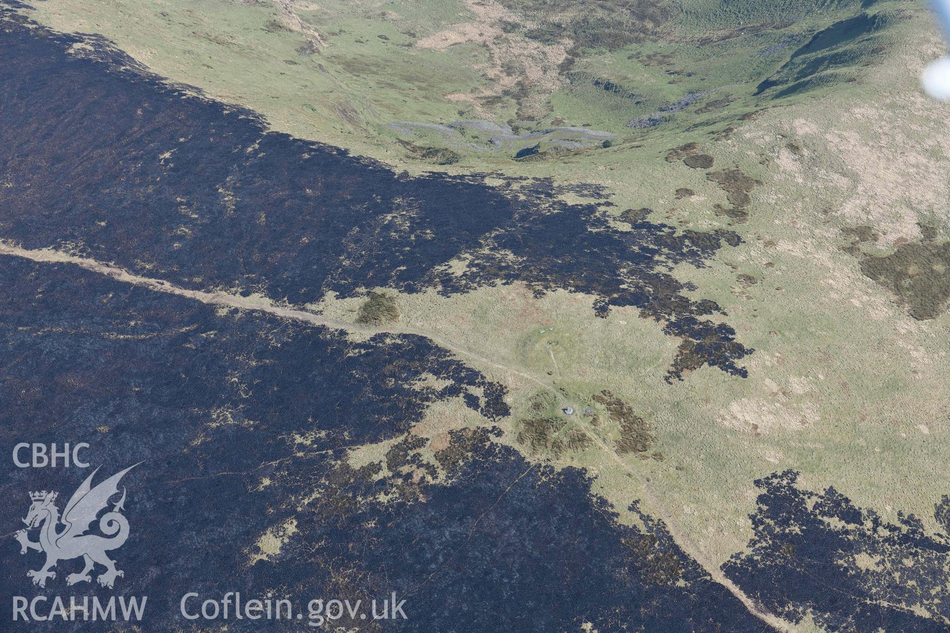 Mynydd Preseli, bracken burn around Foel Cwm-Cerwyn cairns. Oblique aerial photograph taken during the Royal Commission’s programme of archaeological aerial reconnaissance by Toby Driver on 25 March 2022.