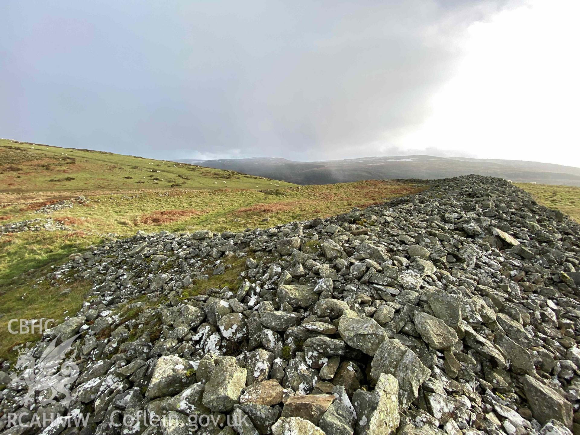 Digital colour photograph showing Caer Drewyn (NE rampart).