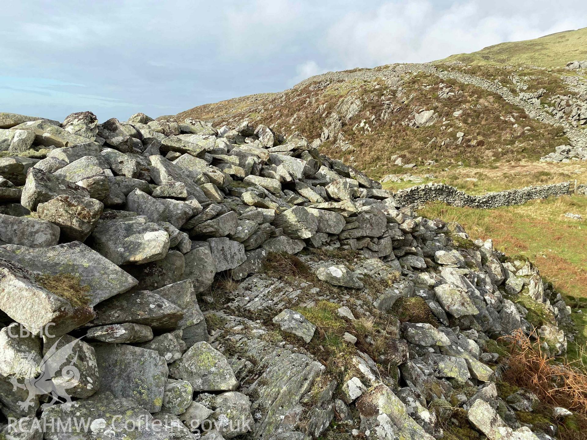 Digital colour photograph showing Castell Llanaber (facing wall on E).