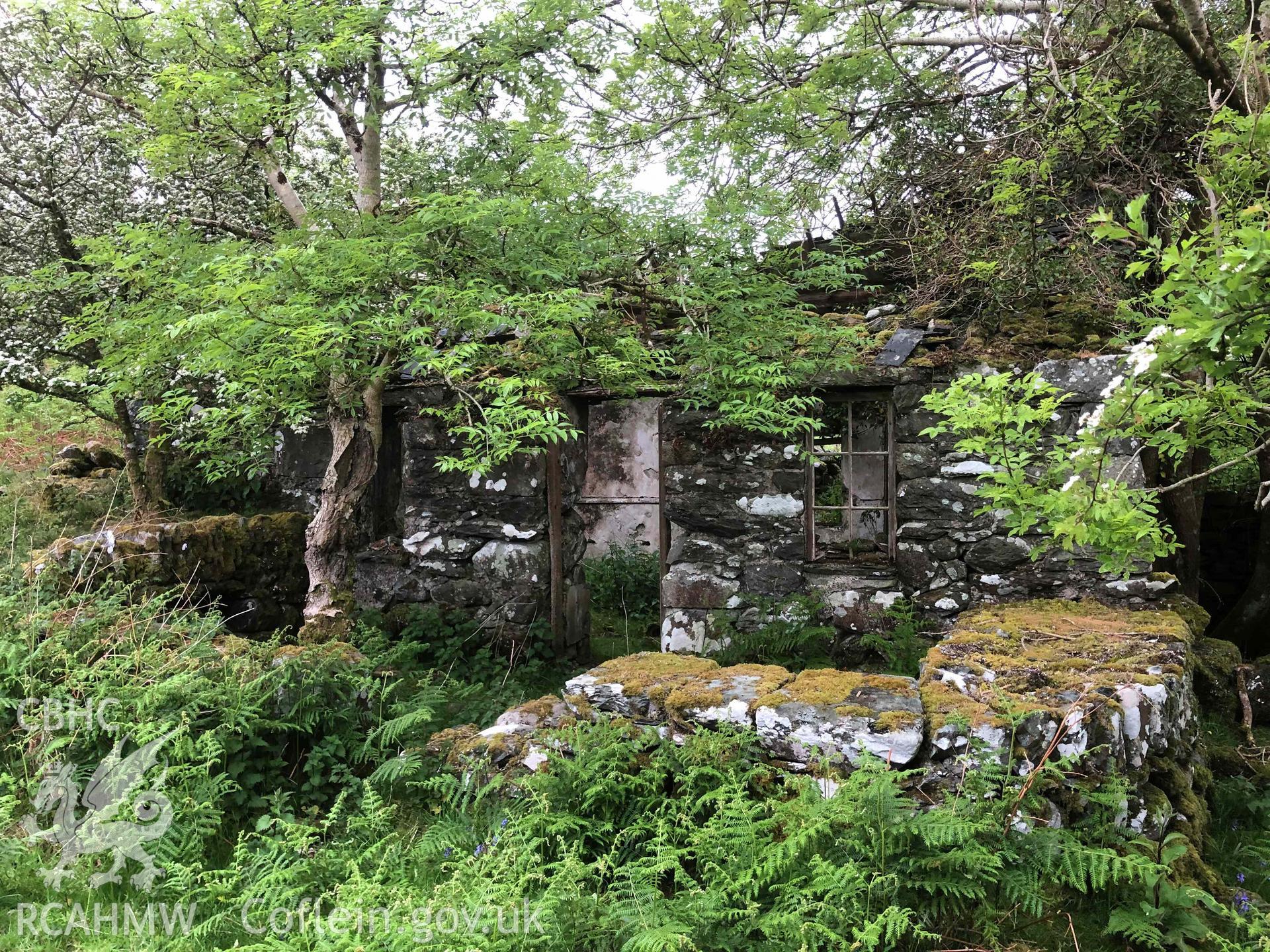 Photograph showing Capel Ty'n Drain, Llanenddwyn, one of the farmstead ruins in the Ardudwy area surveyed by volunteers between November 2020 and November 2023, as part of Prosiect Treftadaeth Harlech ac Ardudwy. ‘Murddunnod Coll’ project.