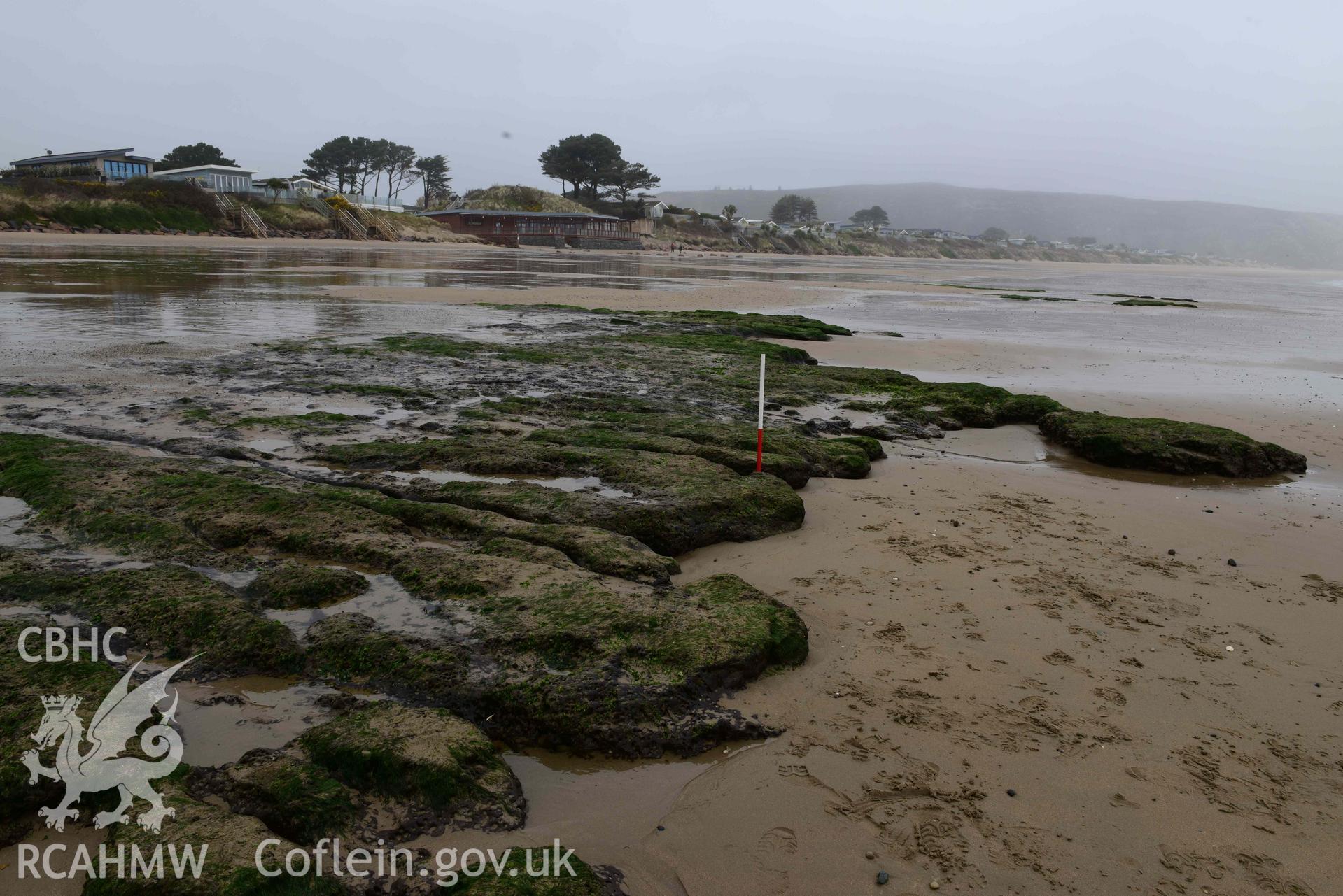 Peat exposure. View looking northeast. Part of survey of the Submerged Forest, Peat Exposures and Footprints on The Warren Beach, Abersoch, conducted by Toby Driver on 29 March 2021. Produced with EU funds through the Ireland Wales Co-operation Programme 2014-2023. All material made freely available through the Open Government Licence.