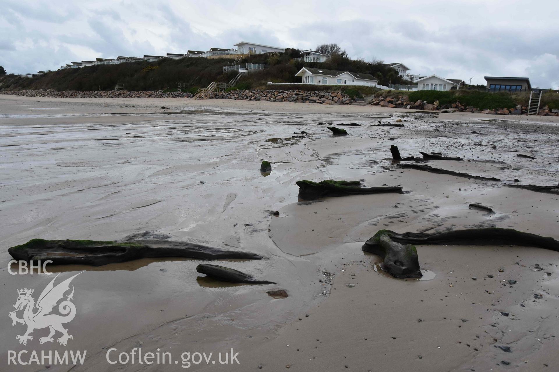 Remains of submerged forest. View looking southwest. Part of a photographic survey of the Submerged Forest, Peat Exposures and Footprints on The Warren Beach, Abersoch, conducted by Louise Barker on 21 January 2019. Produced with EU funds through the Ireland Wales Co-operation Programme 2014-2023. All material made freely available through the Open Government Licence.