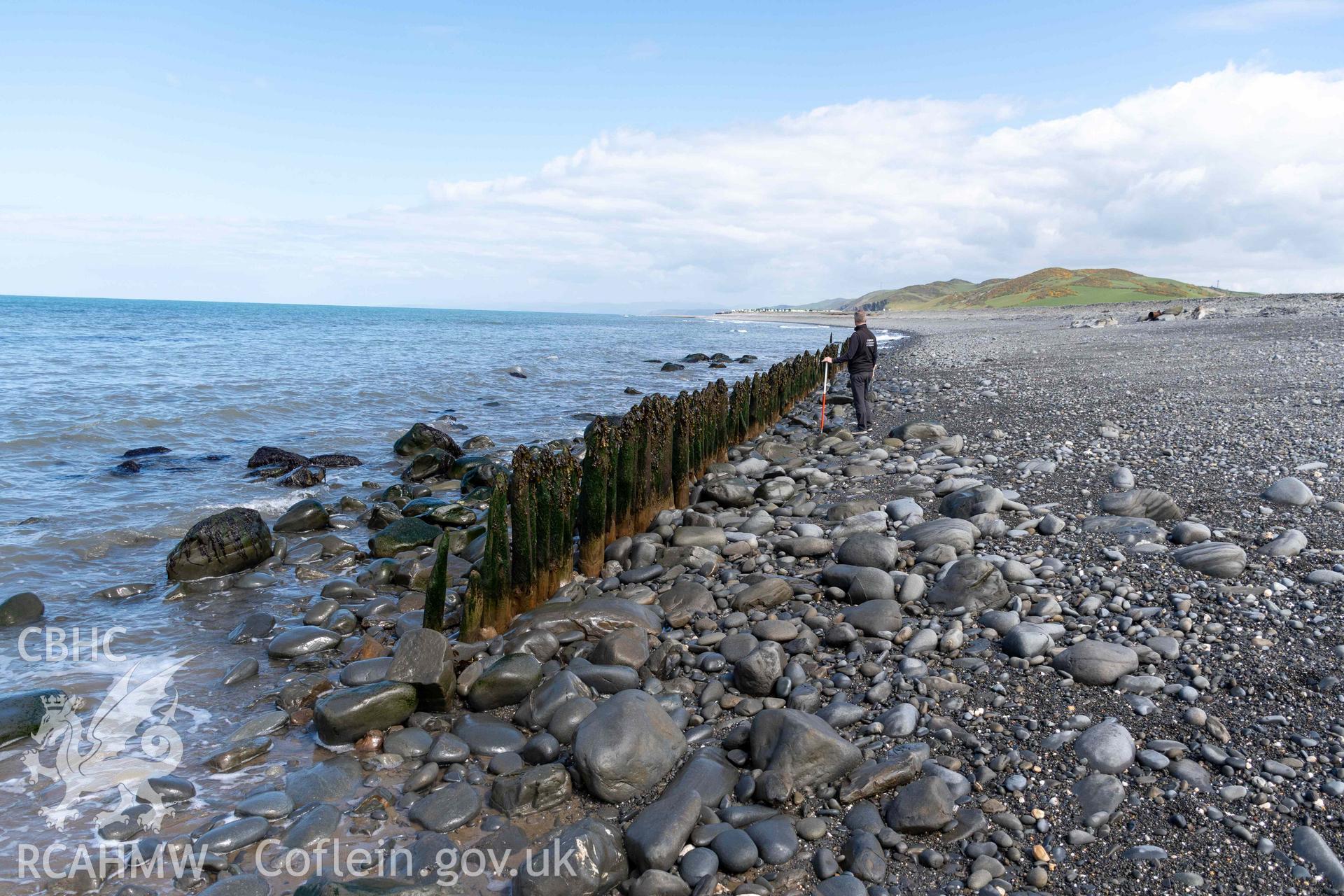 Jetty, Aberstrincell (SN5219768701), looking northeast (with scale). Part of photographic survey of Aberstrincell lime kilns and coal yard, conducted by Louise Barker of the RCAHMW survey team on 21 March 2024.