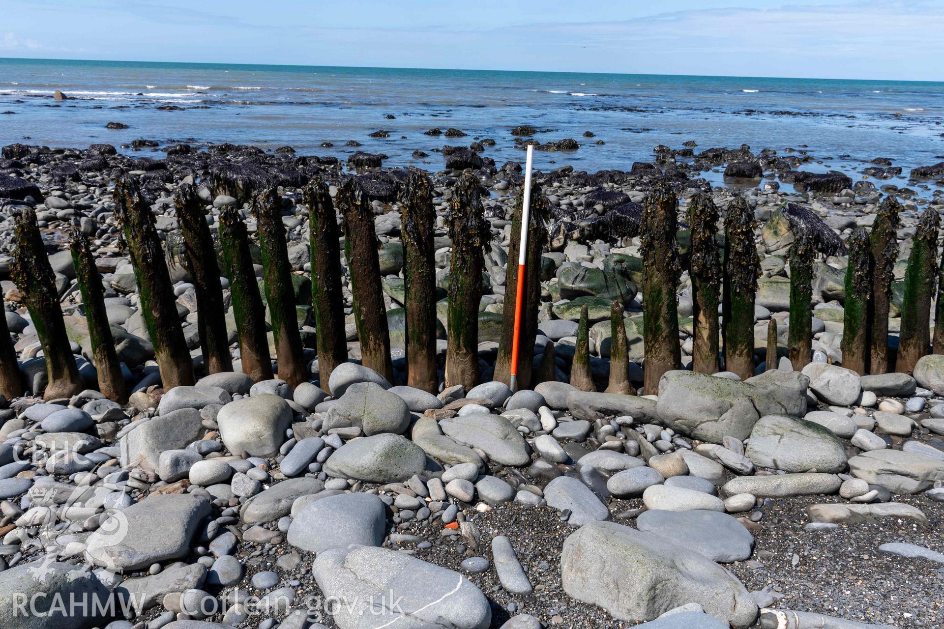 Jetty, Aberstrincell (SN5219768701), detail of timber uprights (with scale). Part of photographic survey of Aberstrincell lime kilns and coal yard, conducted by Louise Barker of the RCAHMW survey team on 21 March 2024.